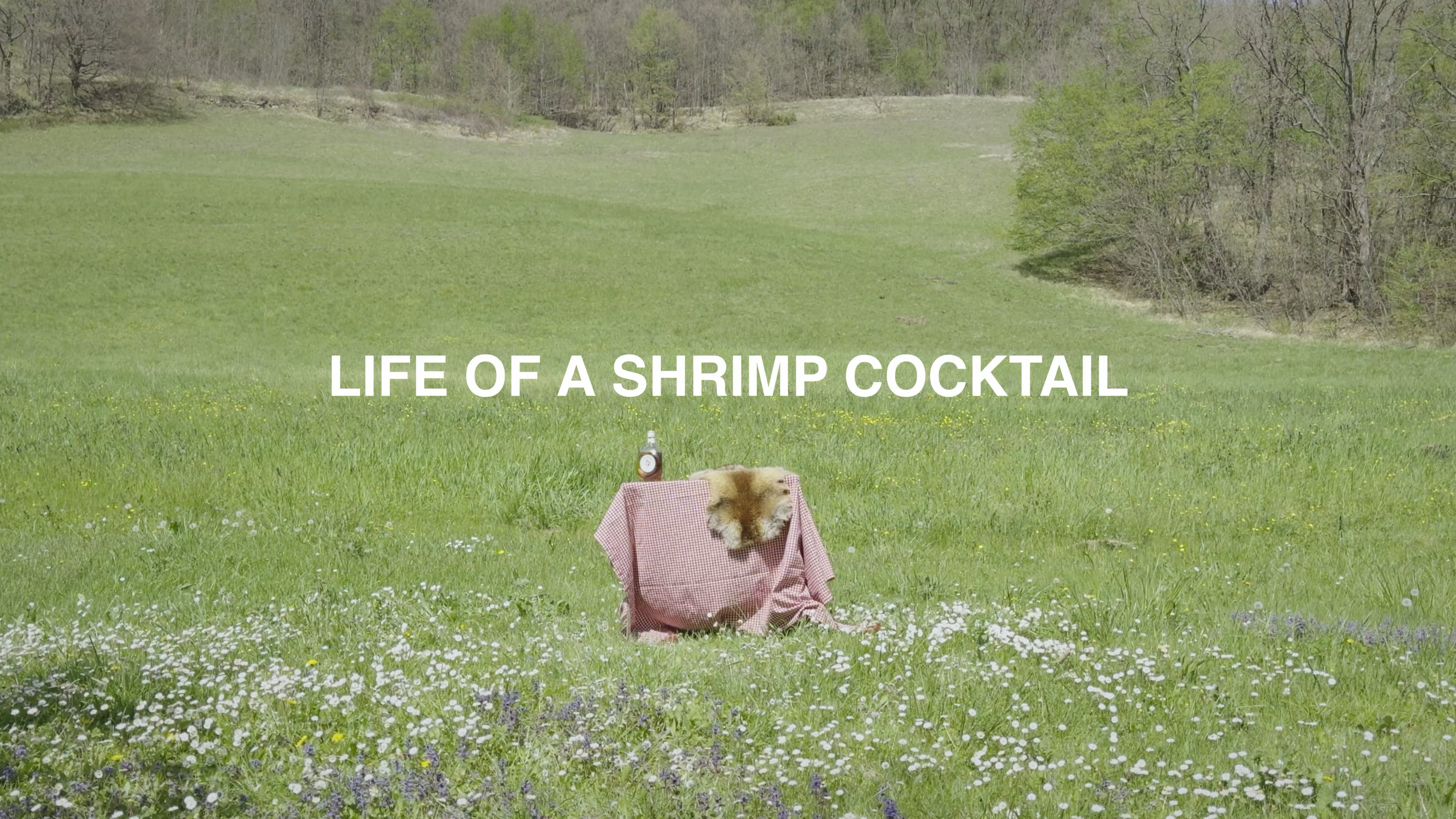 Life of a Shrimp Cocktail