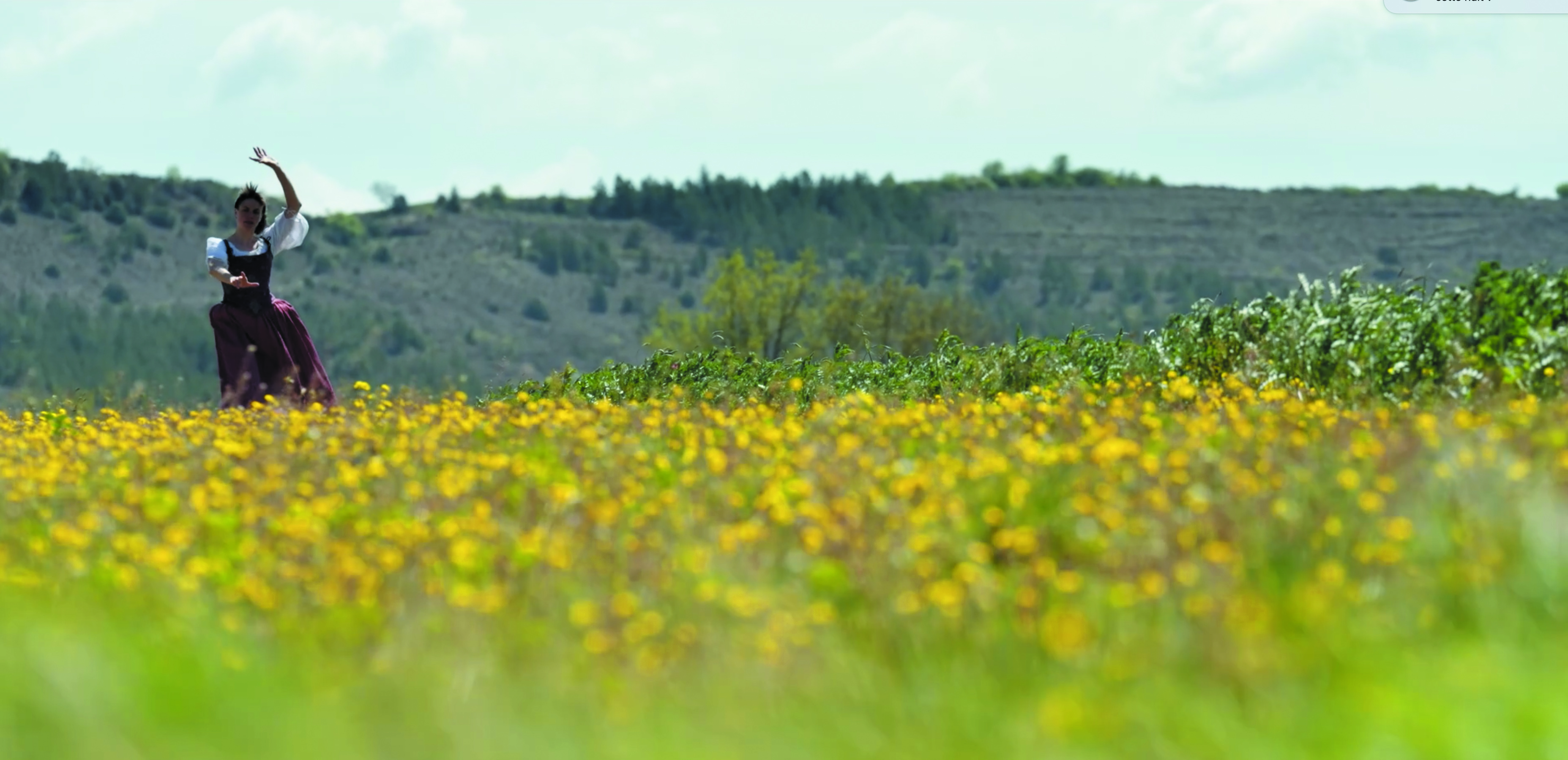 D'Artagnan et le sang des révoltés