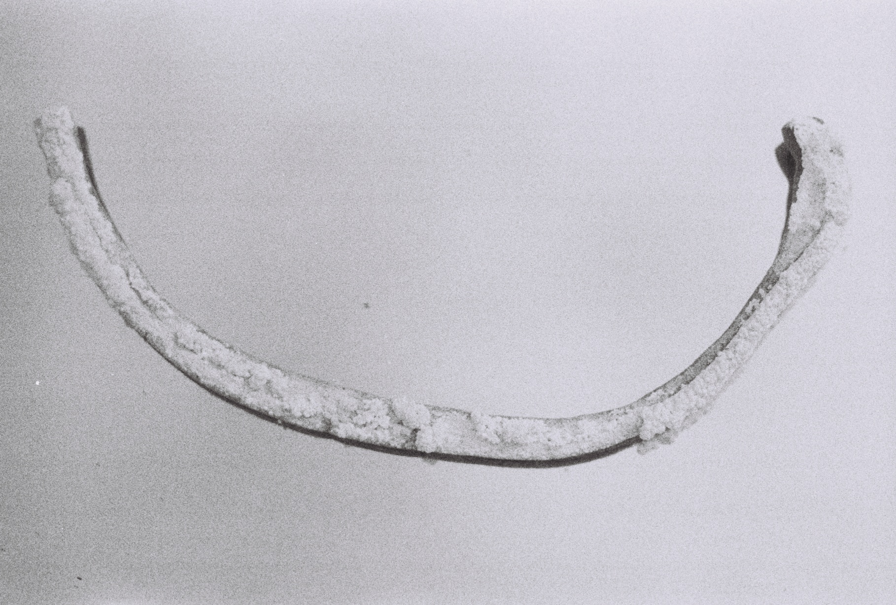 Frog, a Frog! A Toad, a Toad!