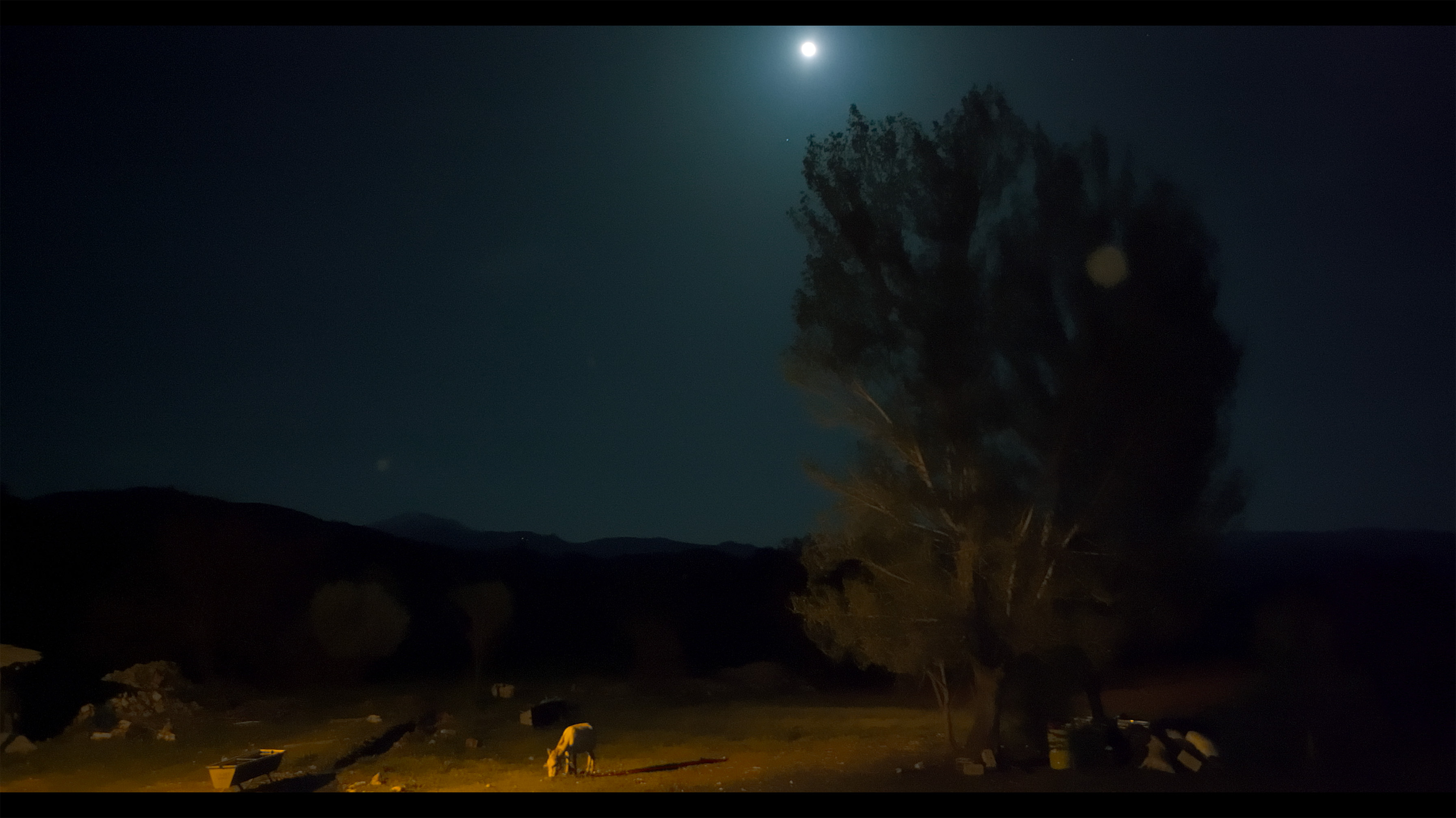 Kökleri̇ dişarida