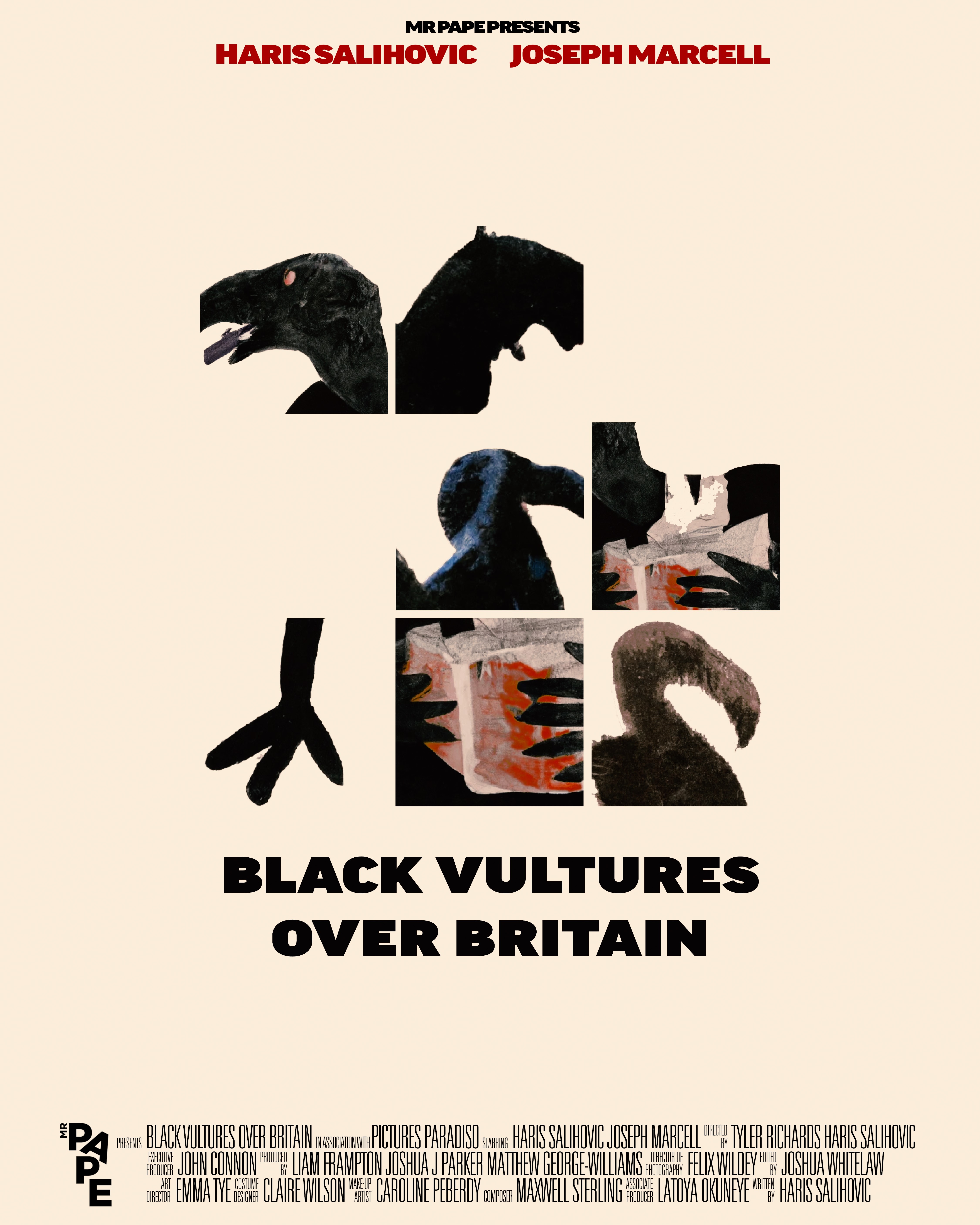 Black Vultures Over Britain