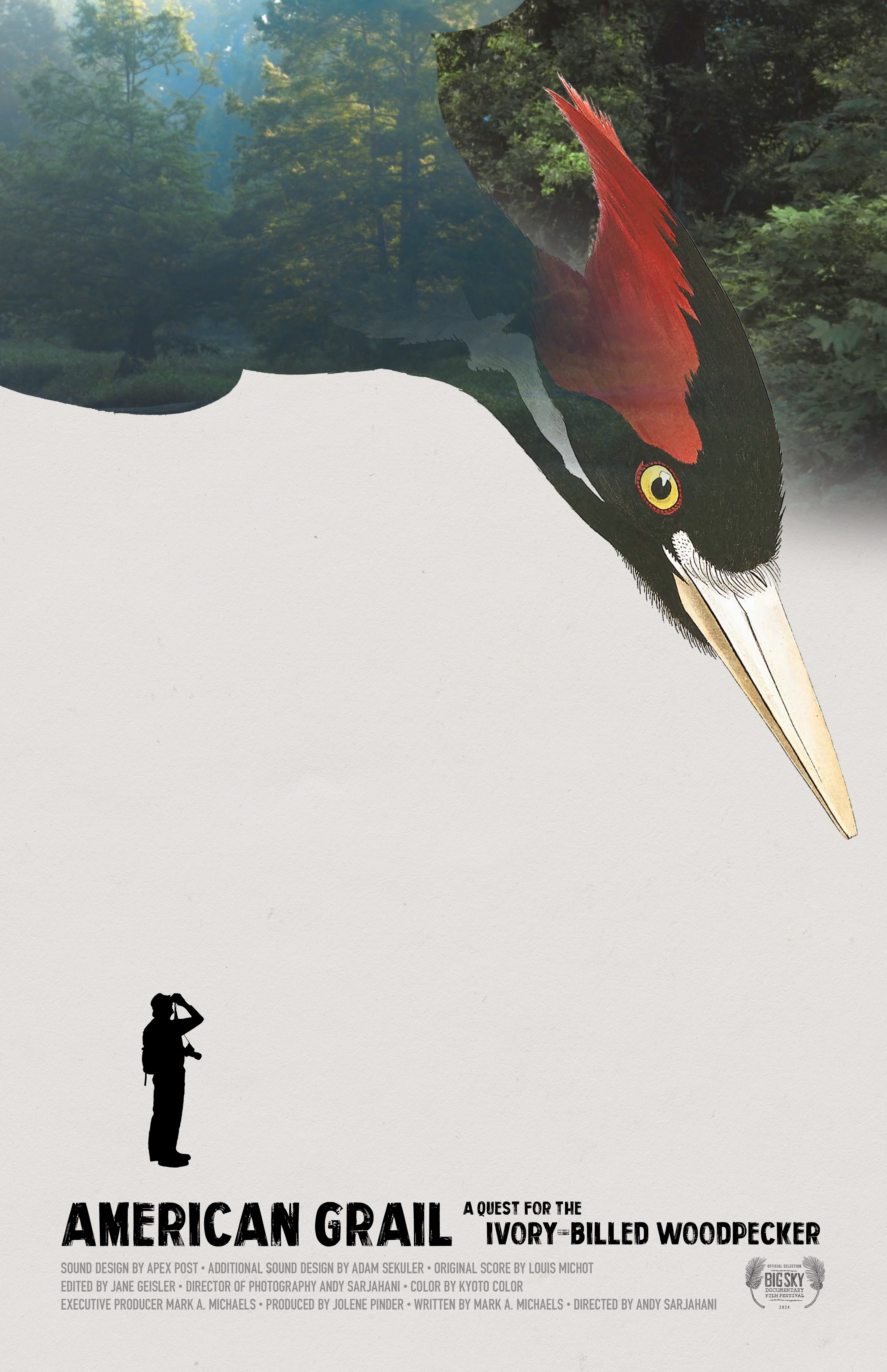 American Grail: A Quest for the Ivory-billed Woodpecker