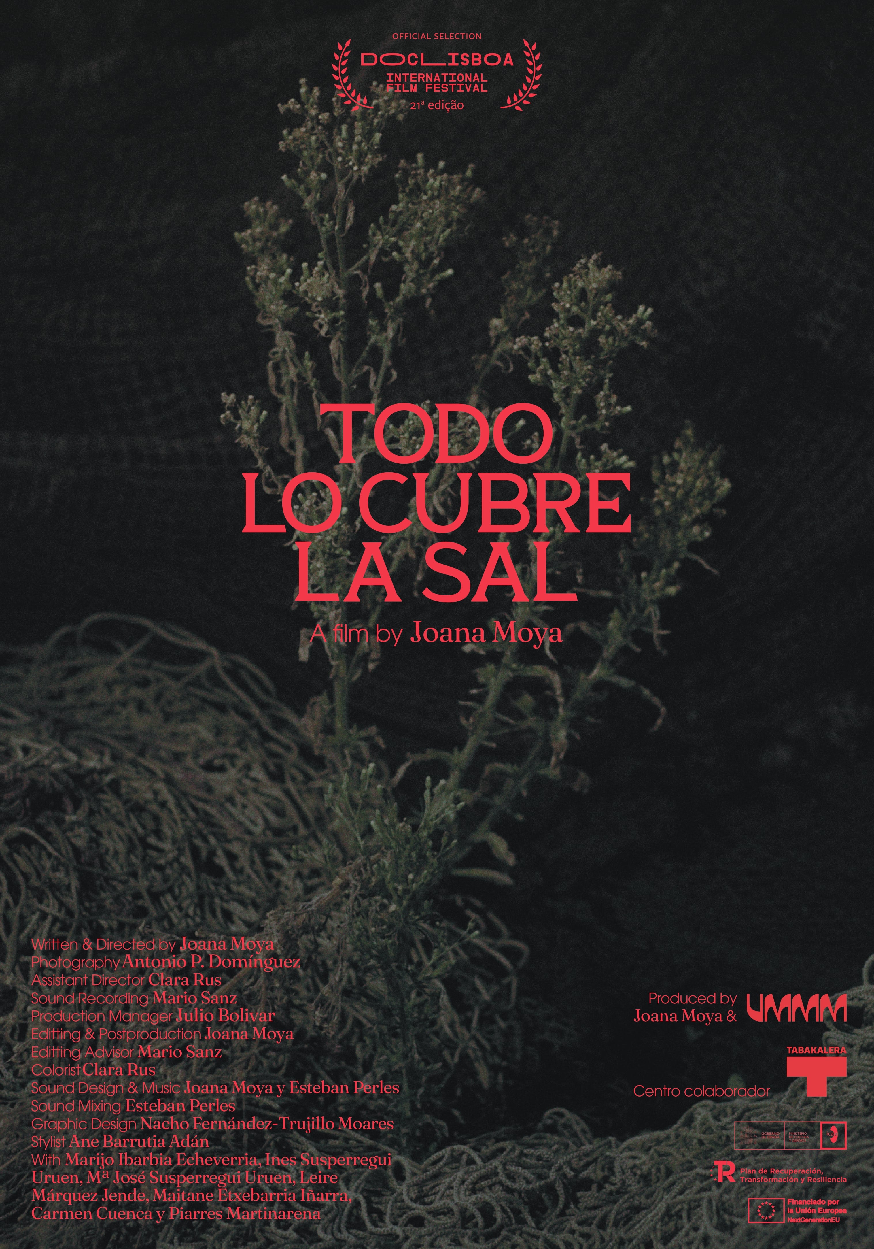 Todo lo cubre la sal