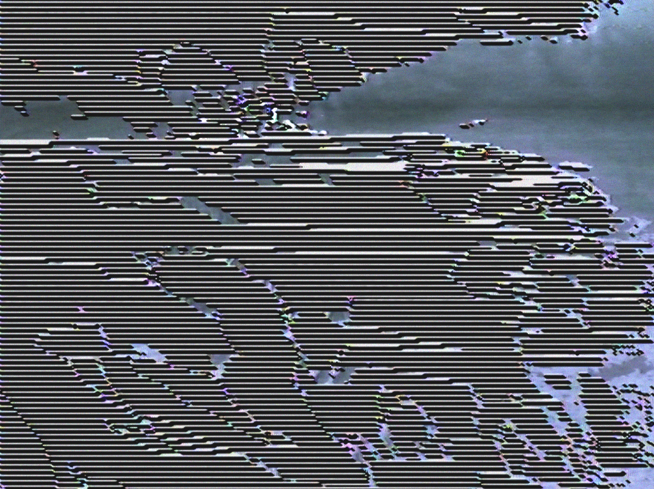 Dickinsonia. les archives sensibles