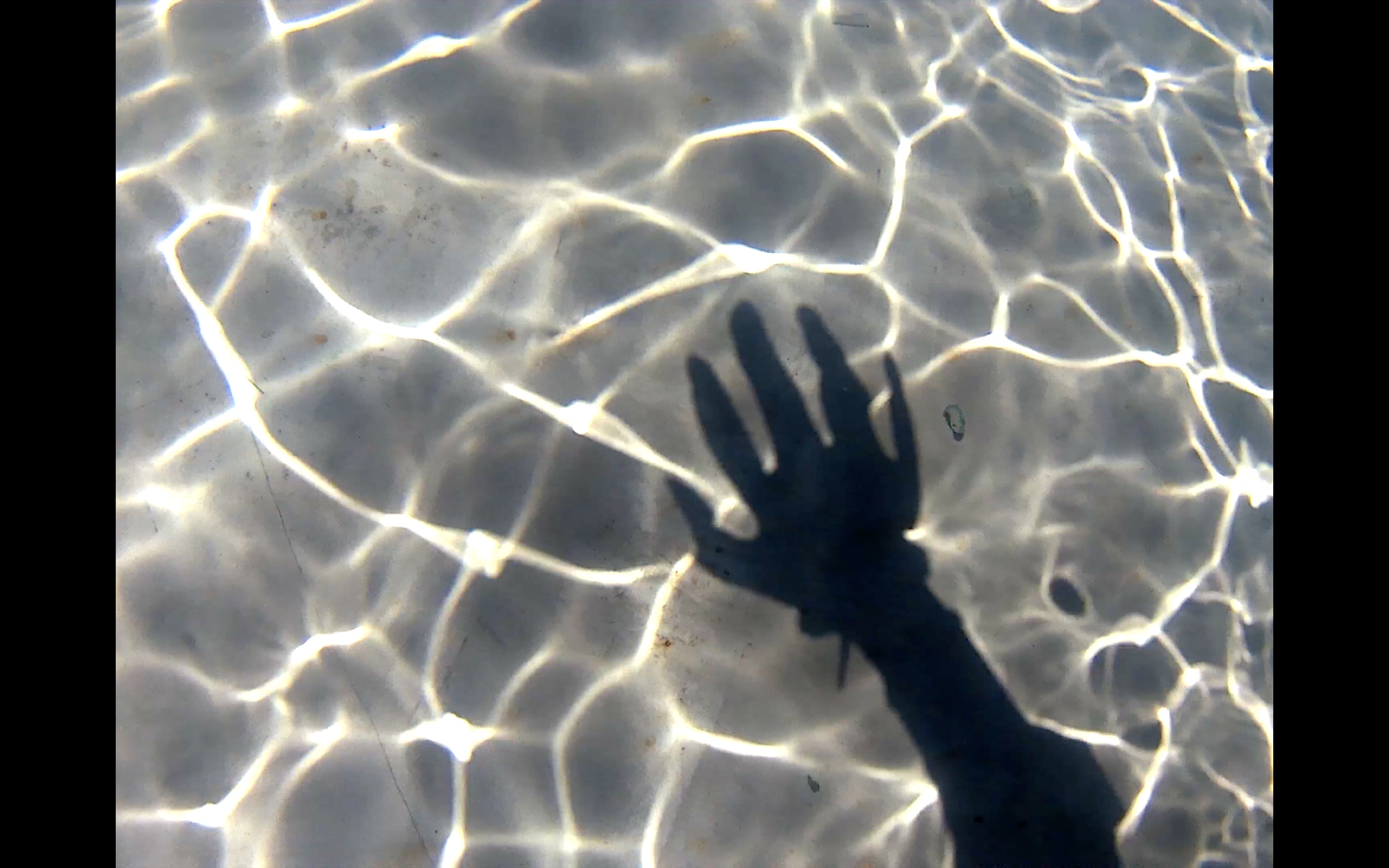 Journal de bord - extrait 1