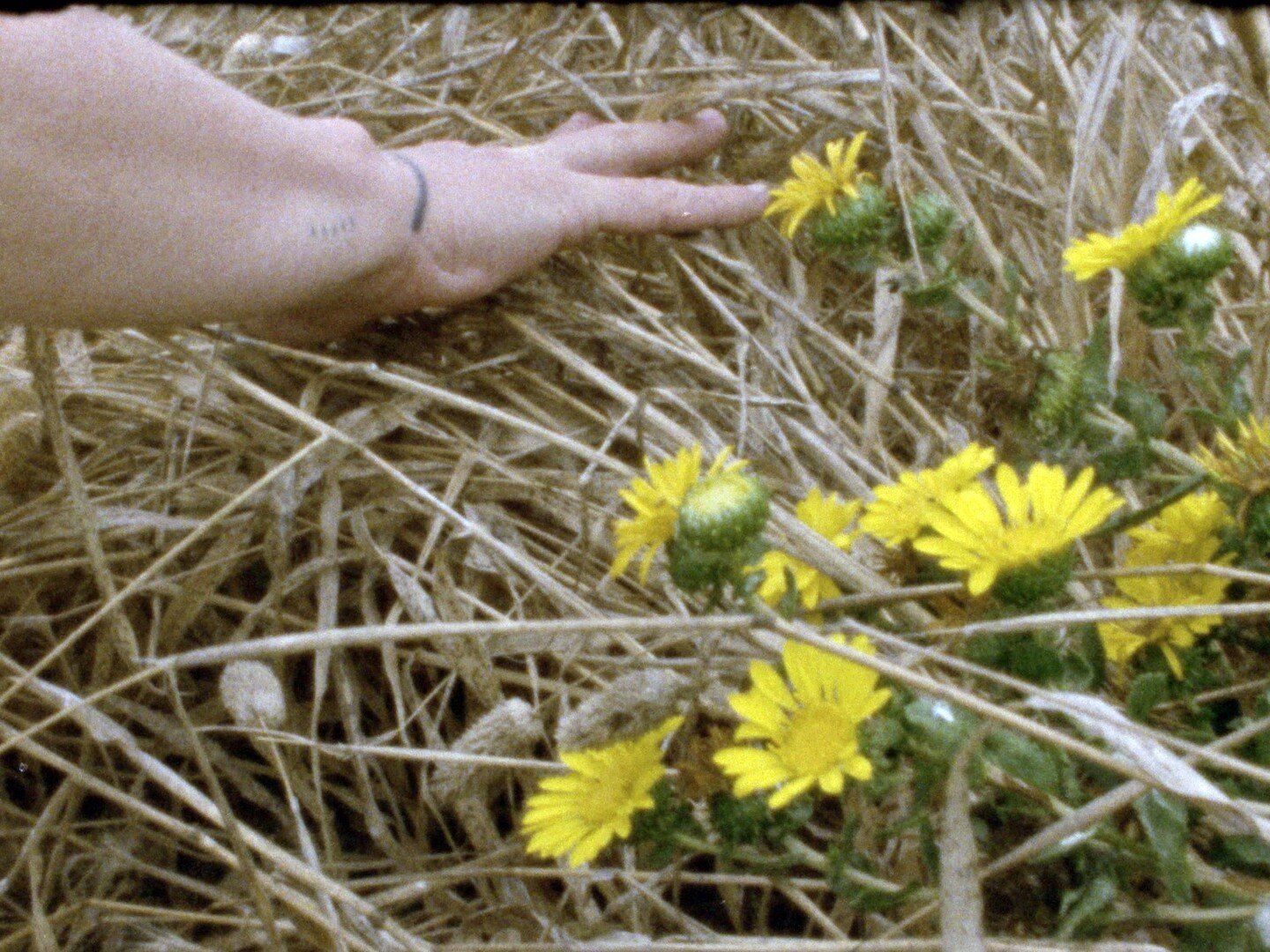 I Really Wanted To Love Today