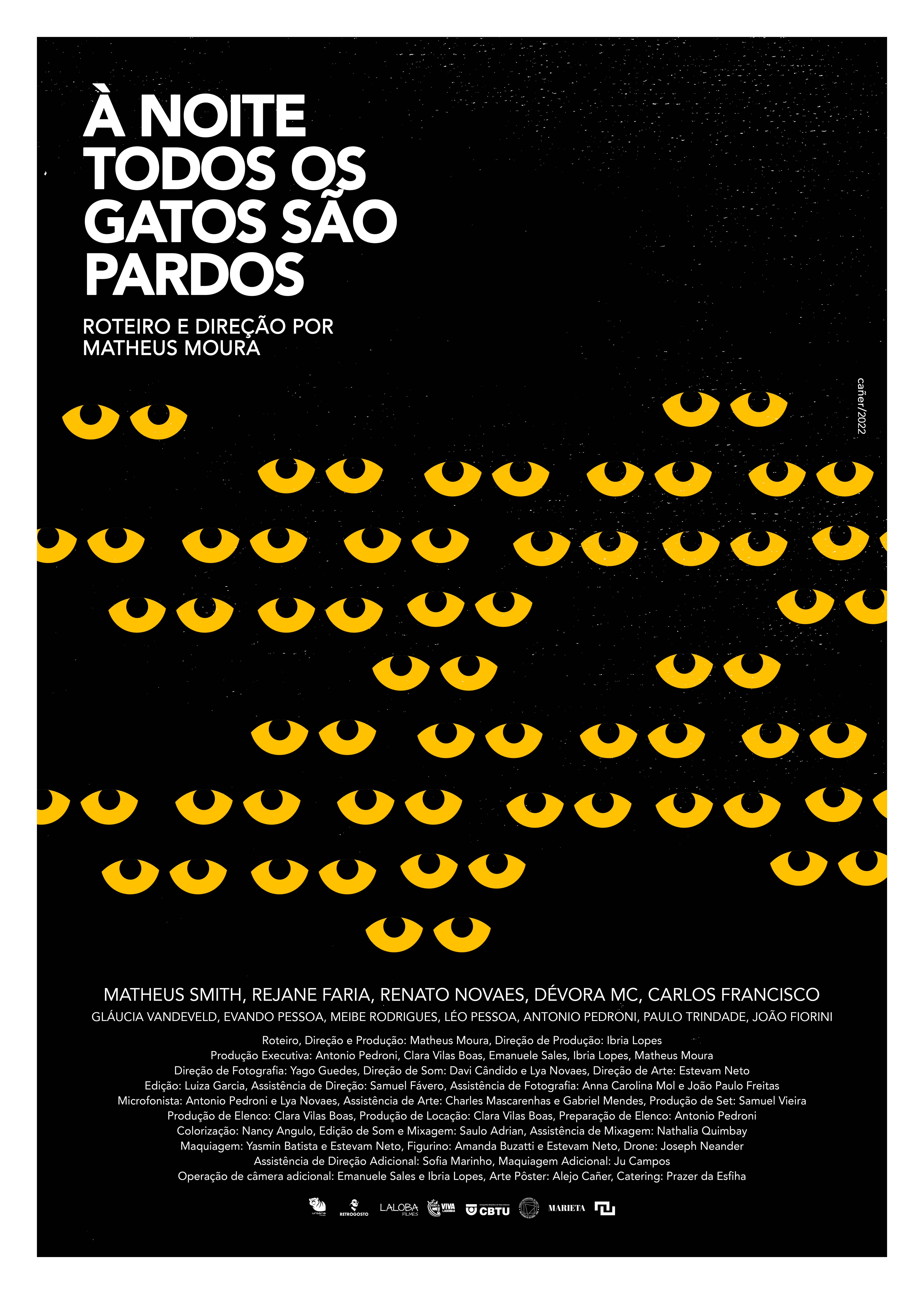 À Noite Todos os Gatos São Pardos