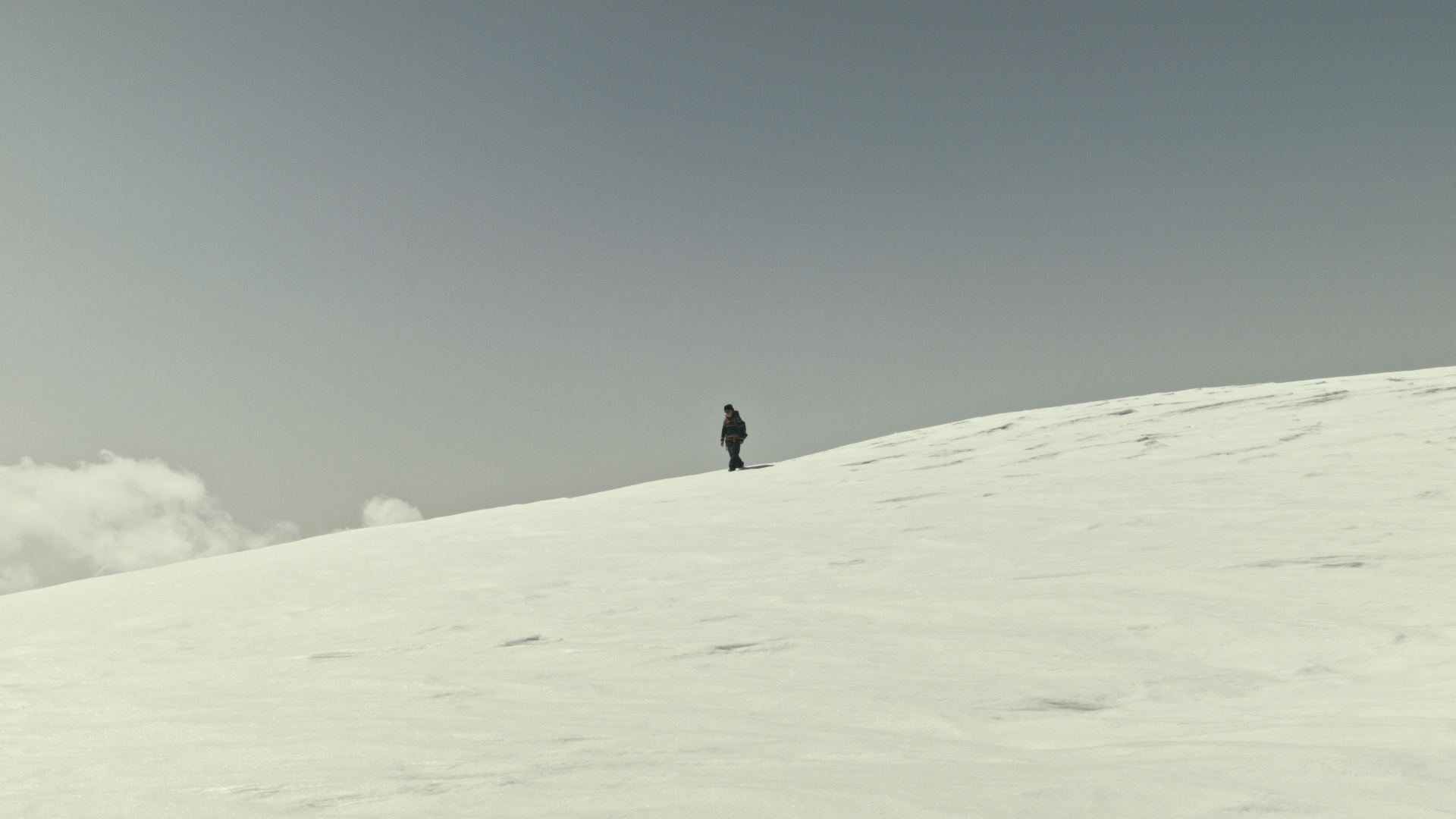 Memoire Dans Un Arbre