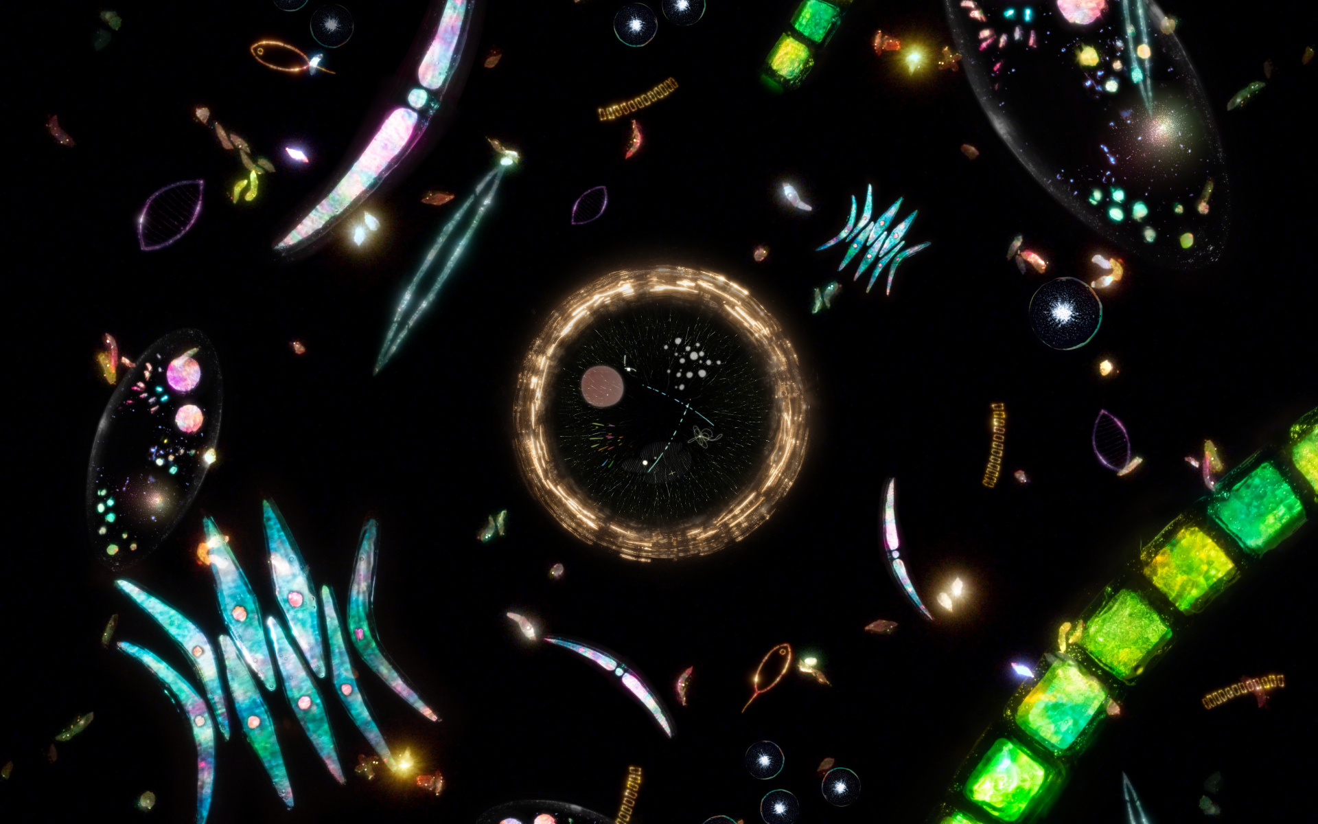 Wi-cocoon - Art Treat Spa