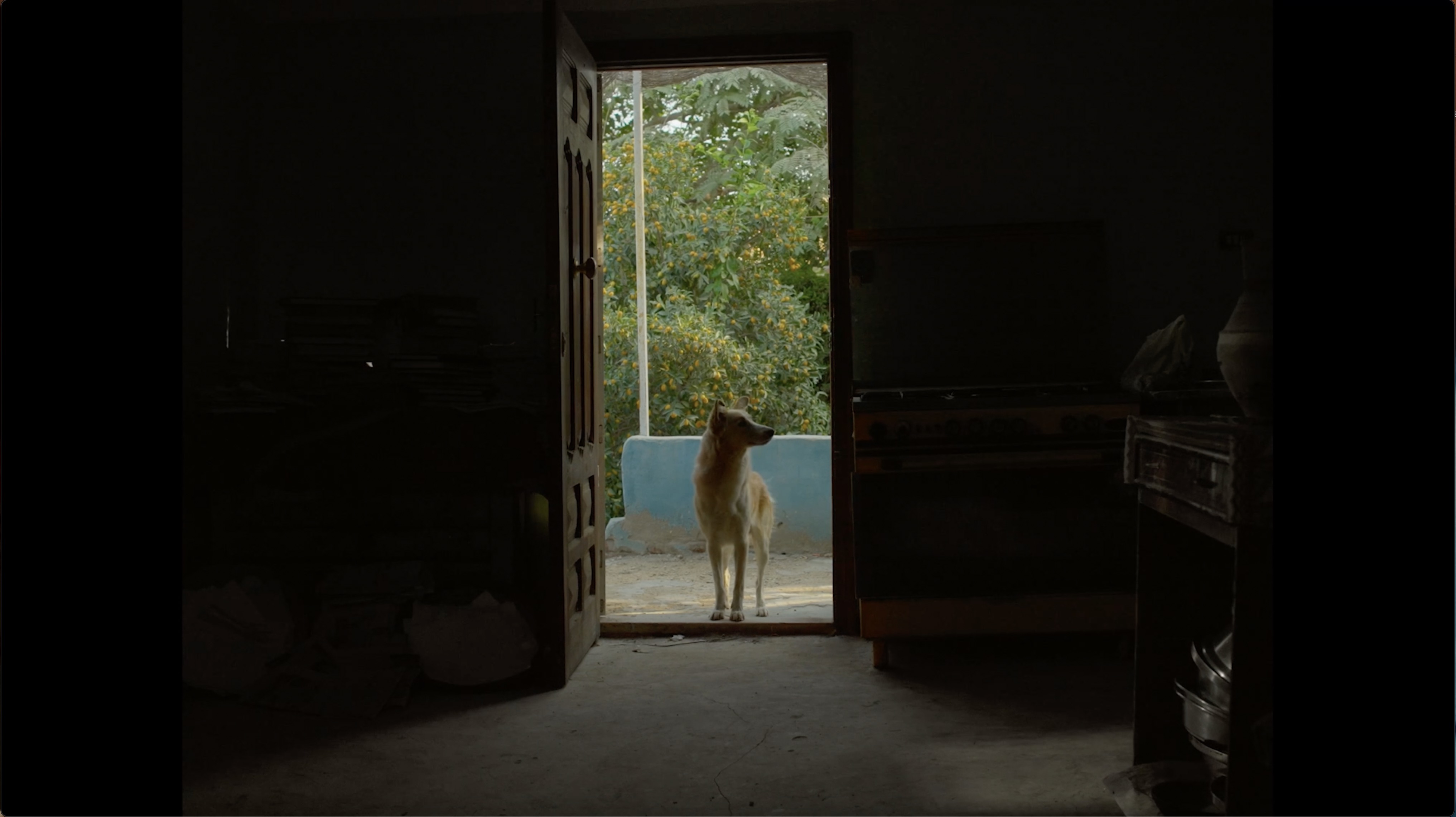 حيث ينام الأحياء