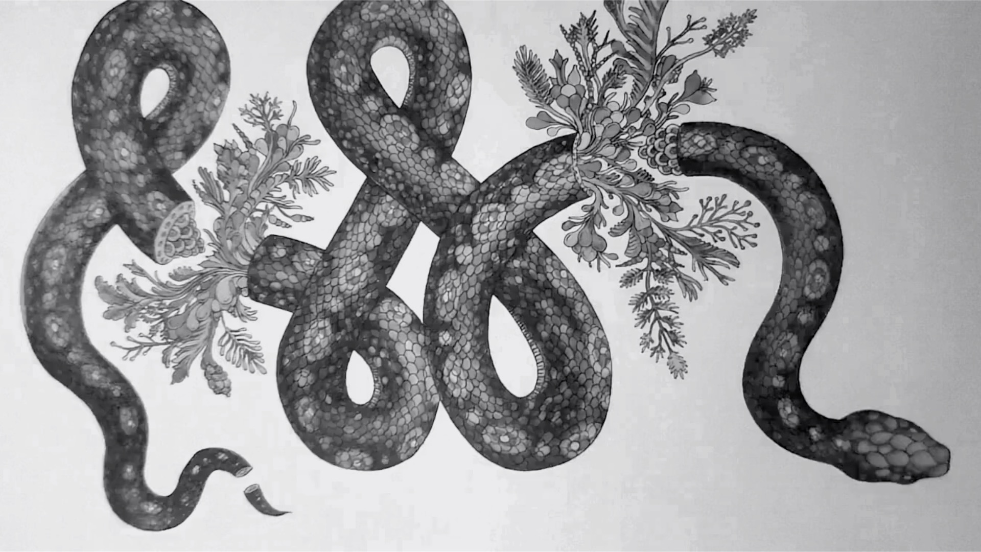 How Deeply Does the Island Darken?