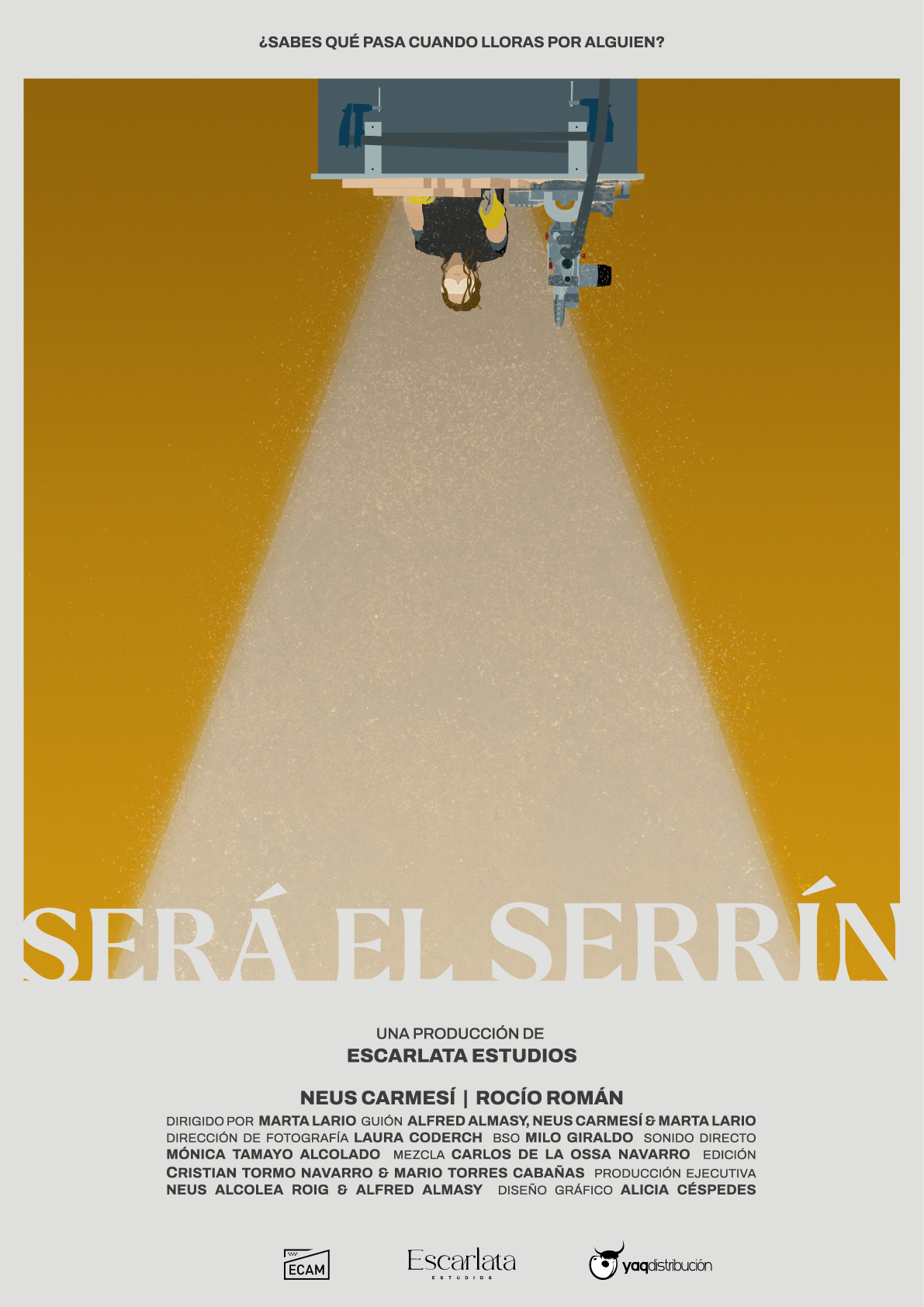 Será el serrín