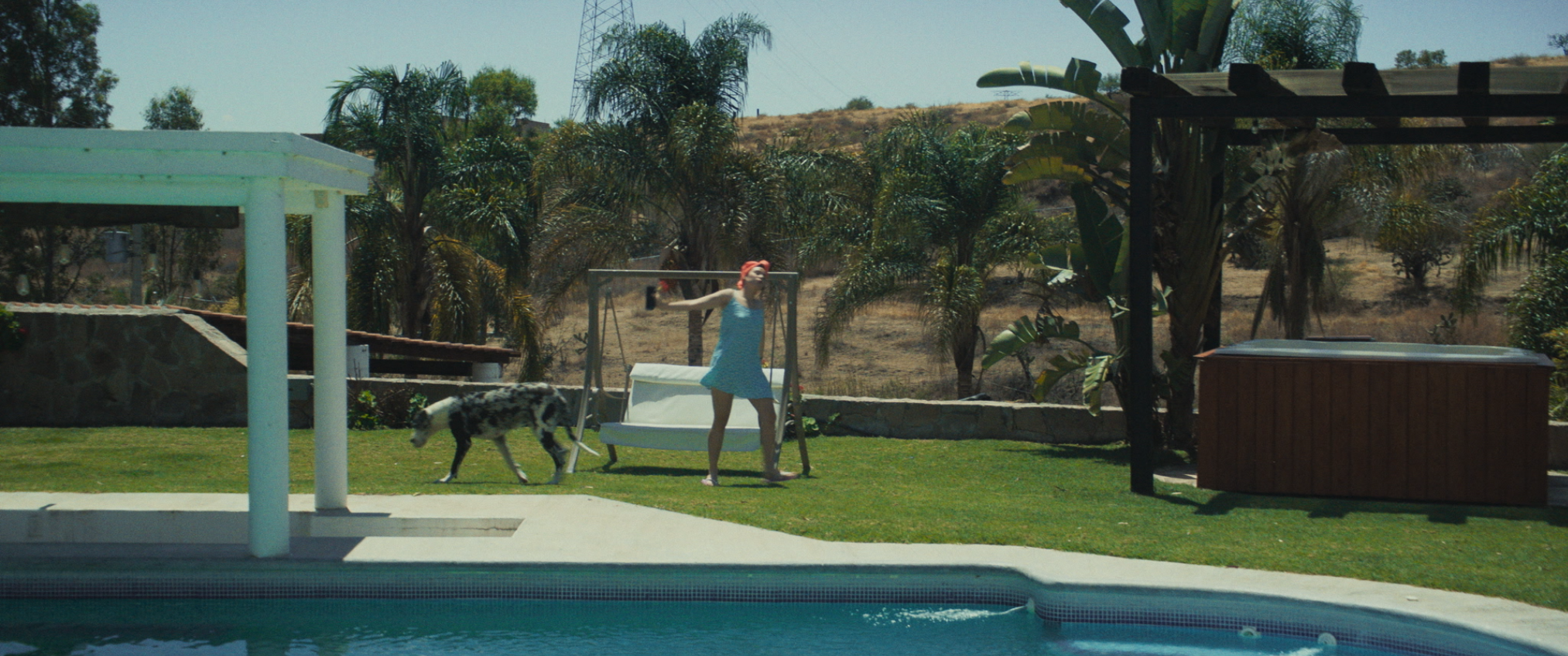 Traigan de vuelta al tigre