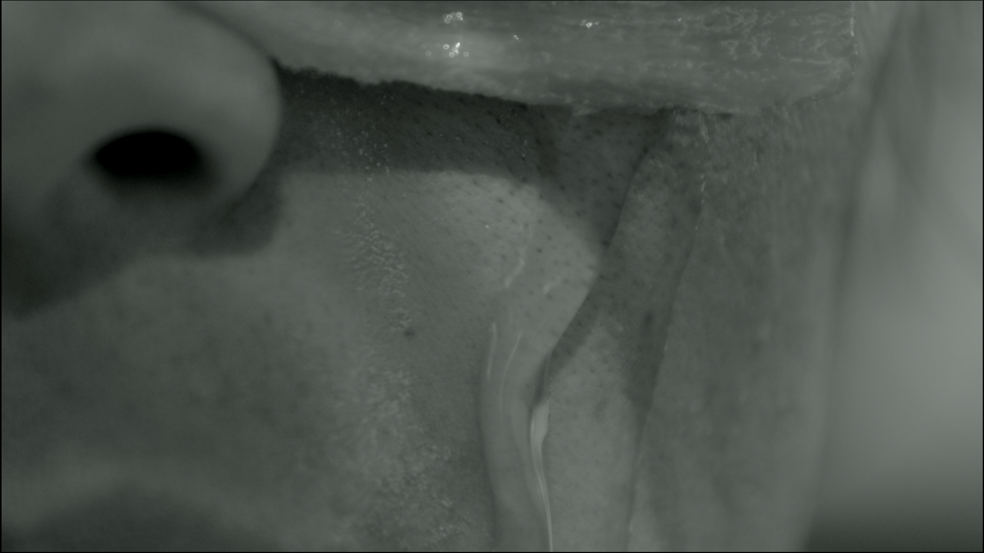 Iva-leo(does Not Equal Jewels And Guns)