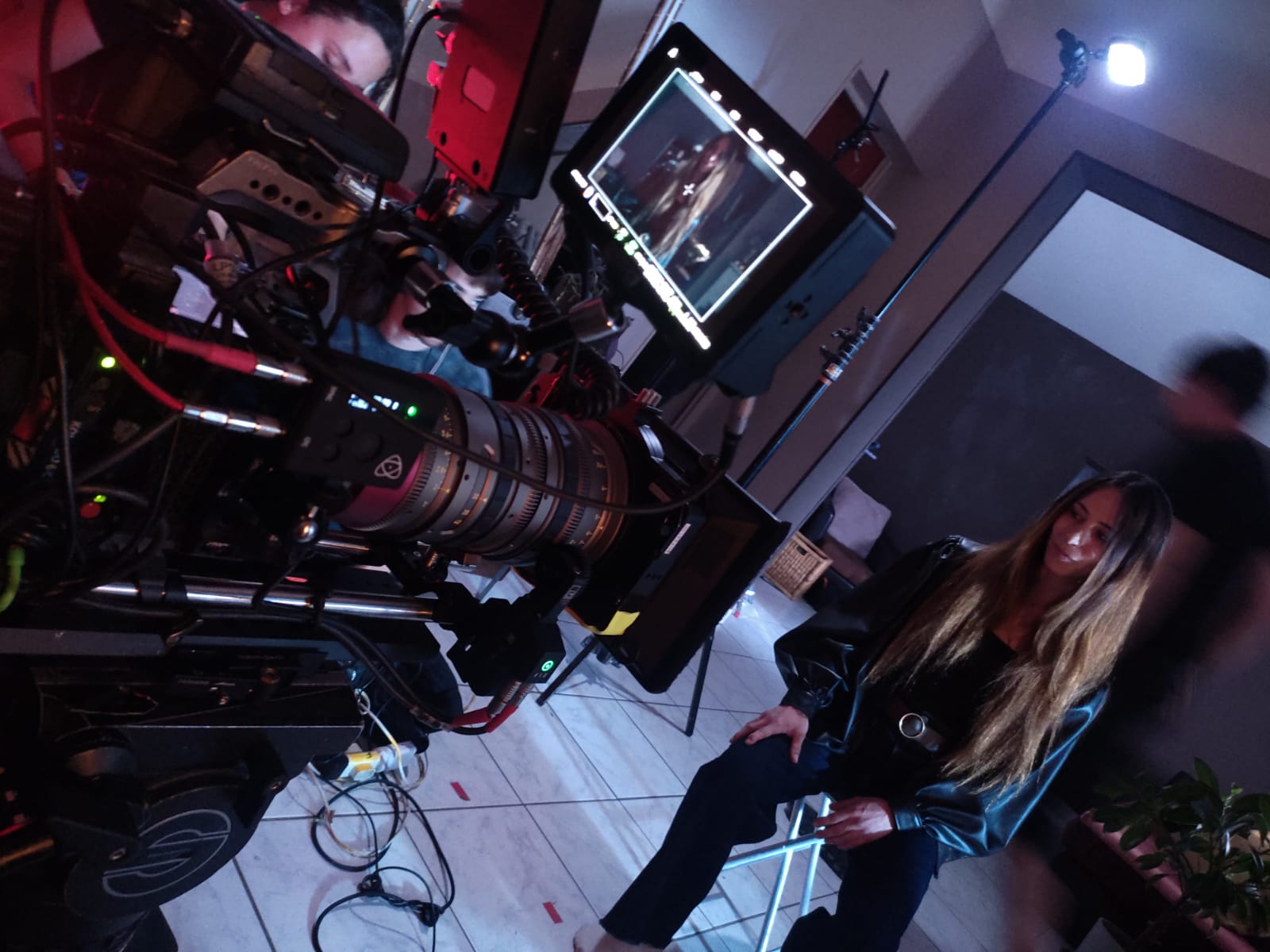 Un chameau sur la banquise