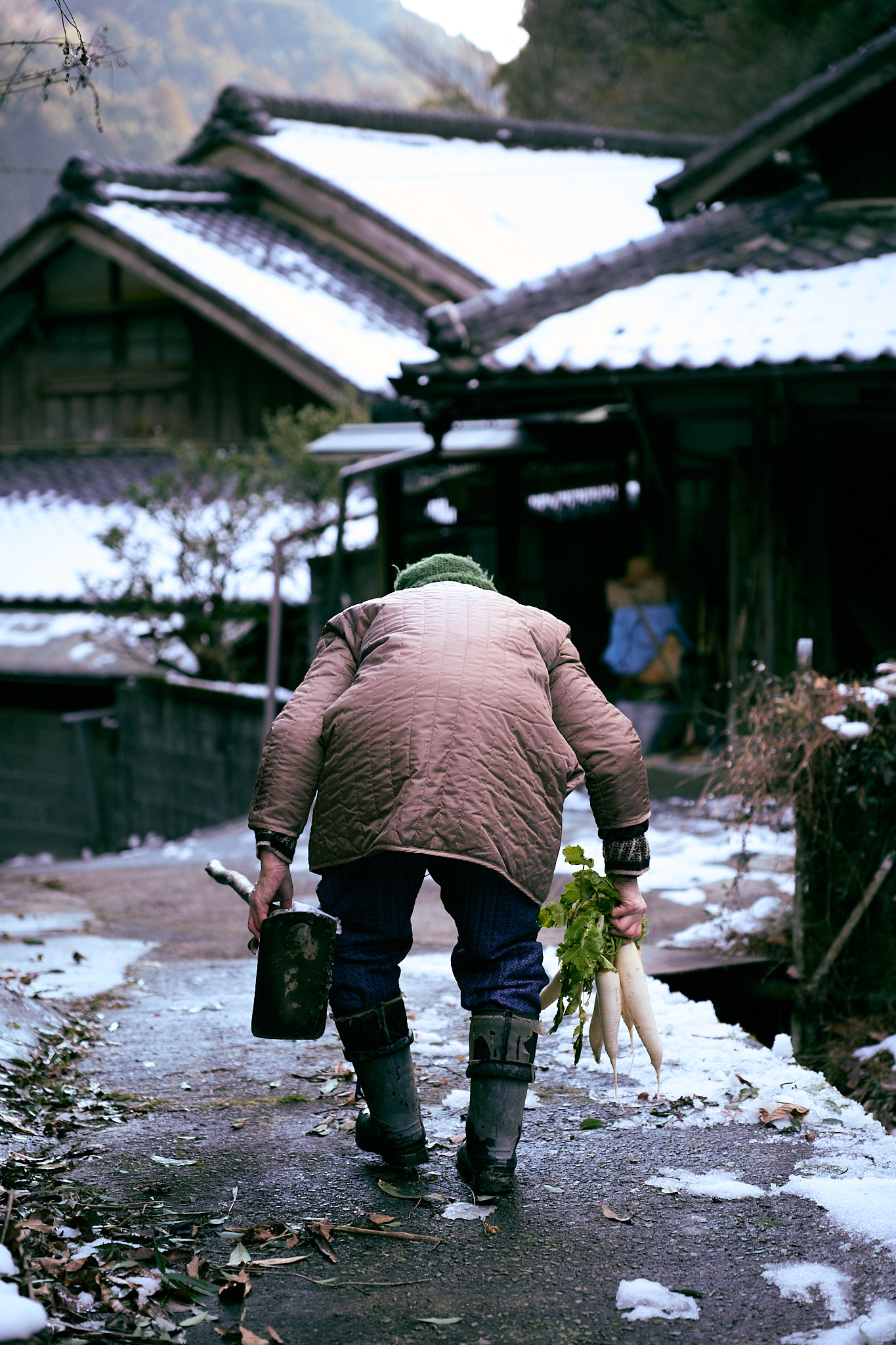 A Fragment of the Sun