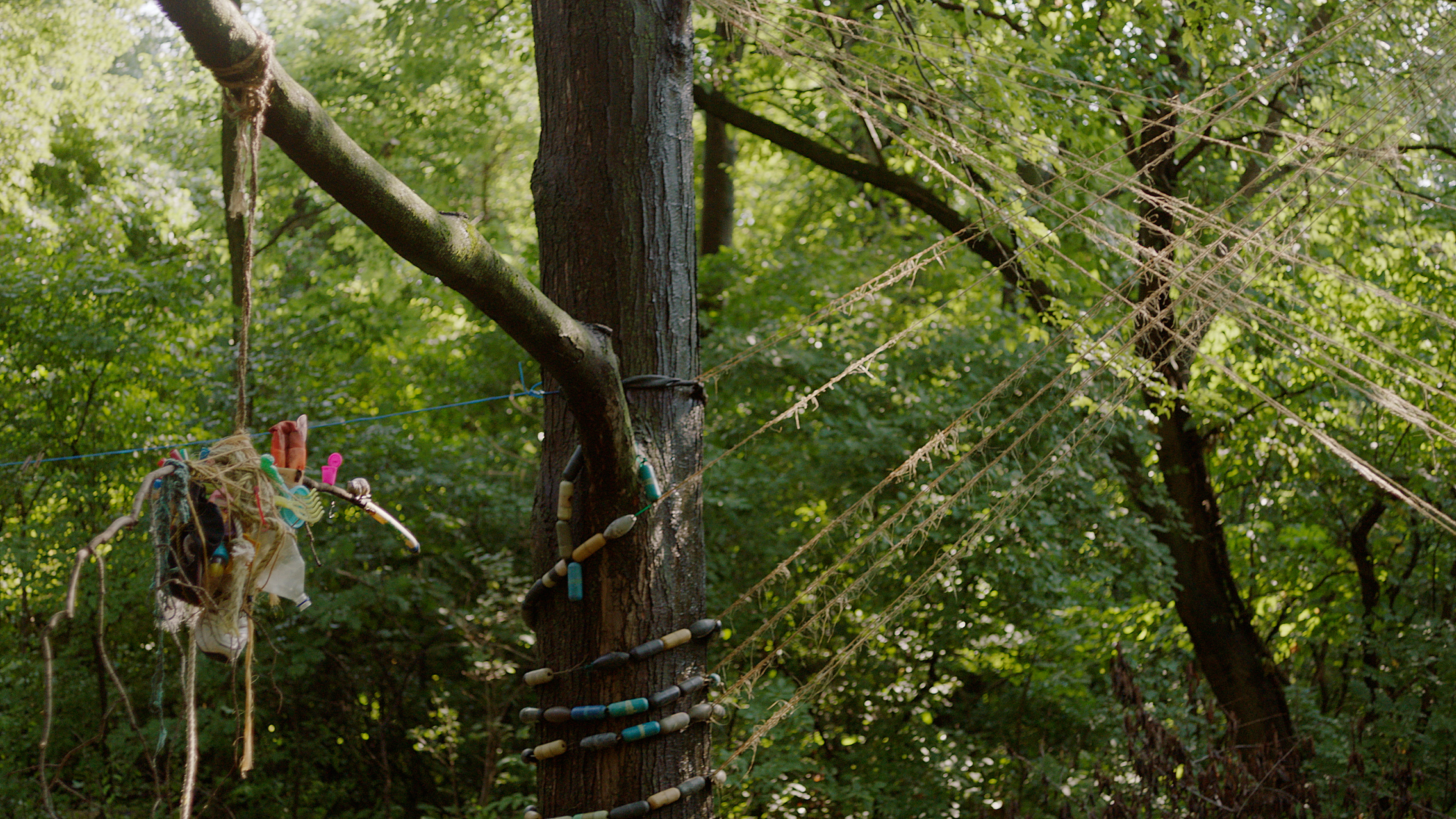 Wreck of Harold Murphy