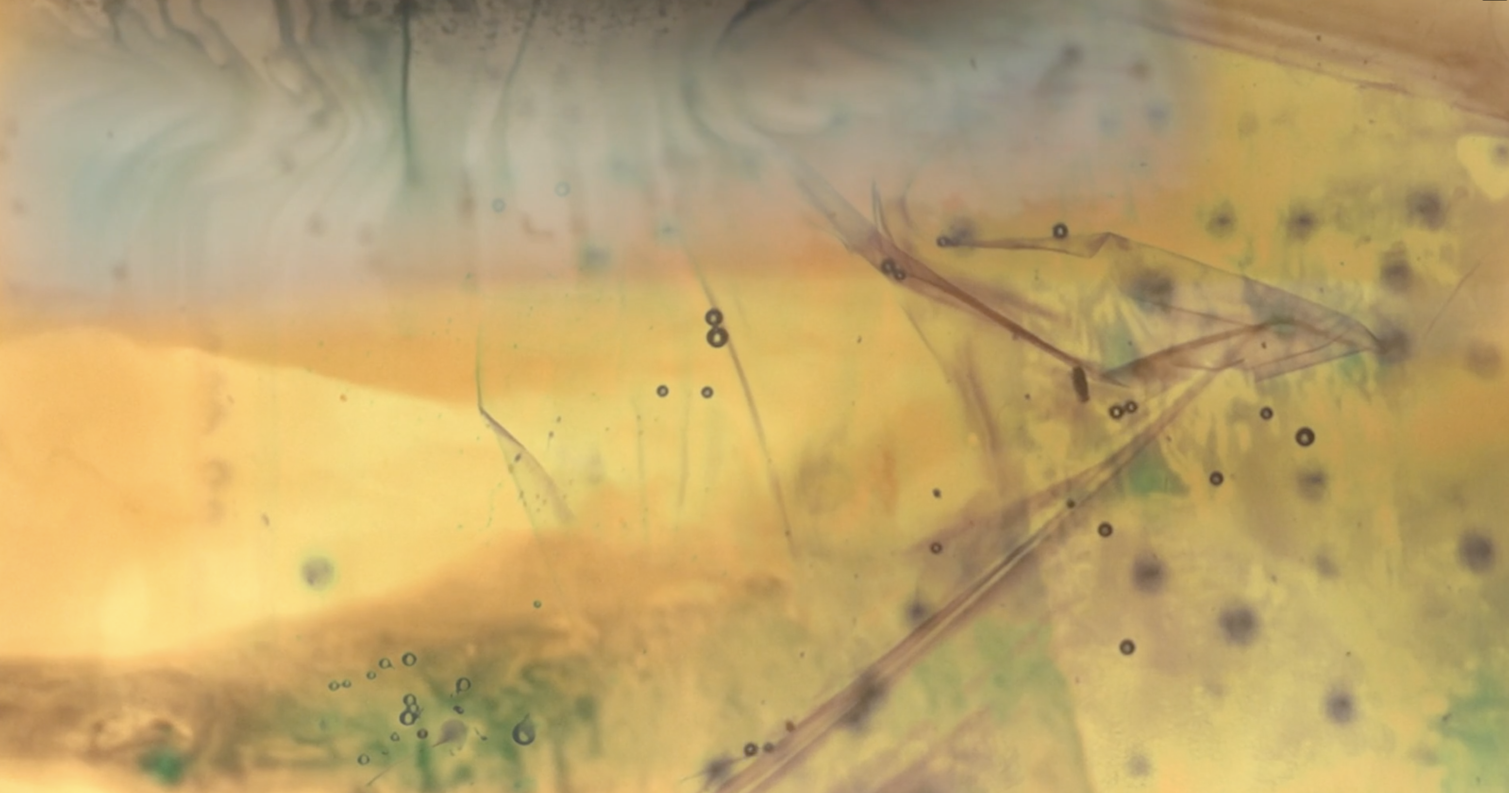Positive Transparencies
