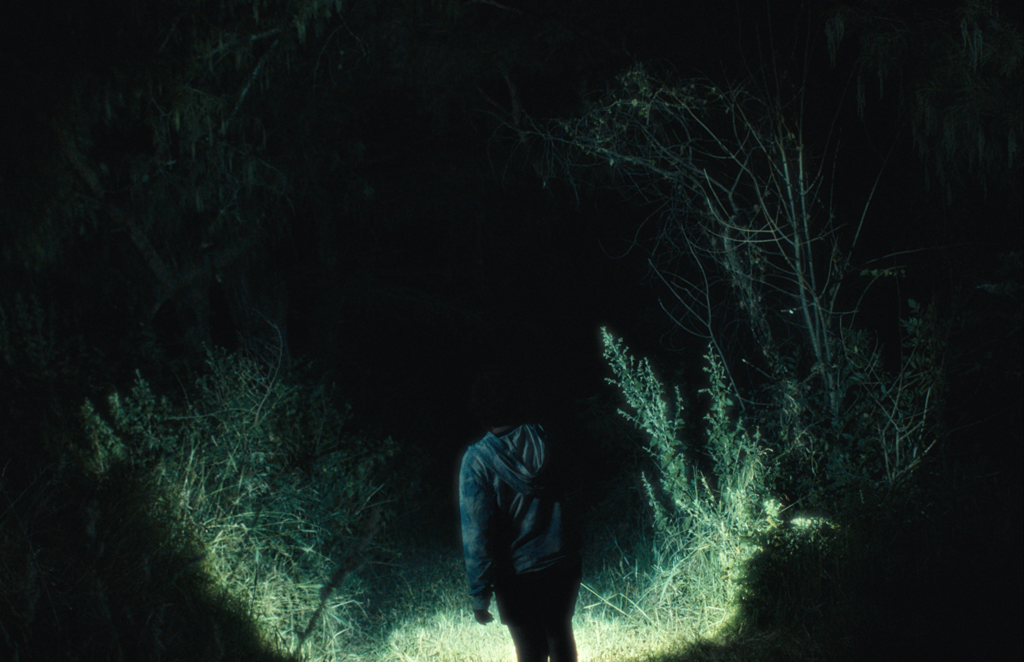 Salvar a Milka del agua