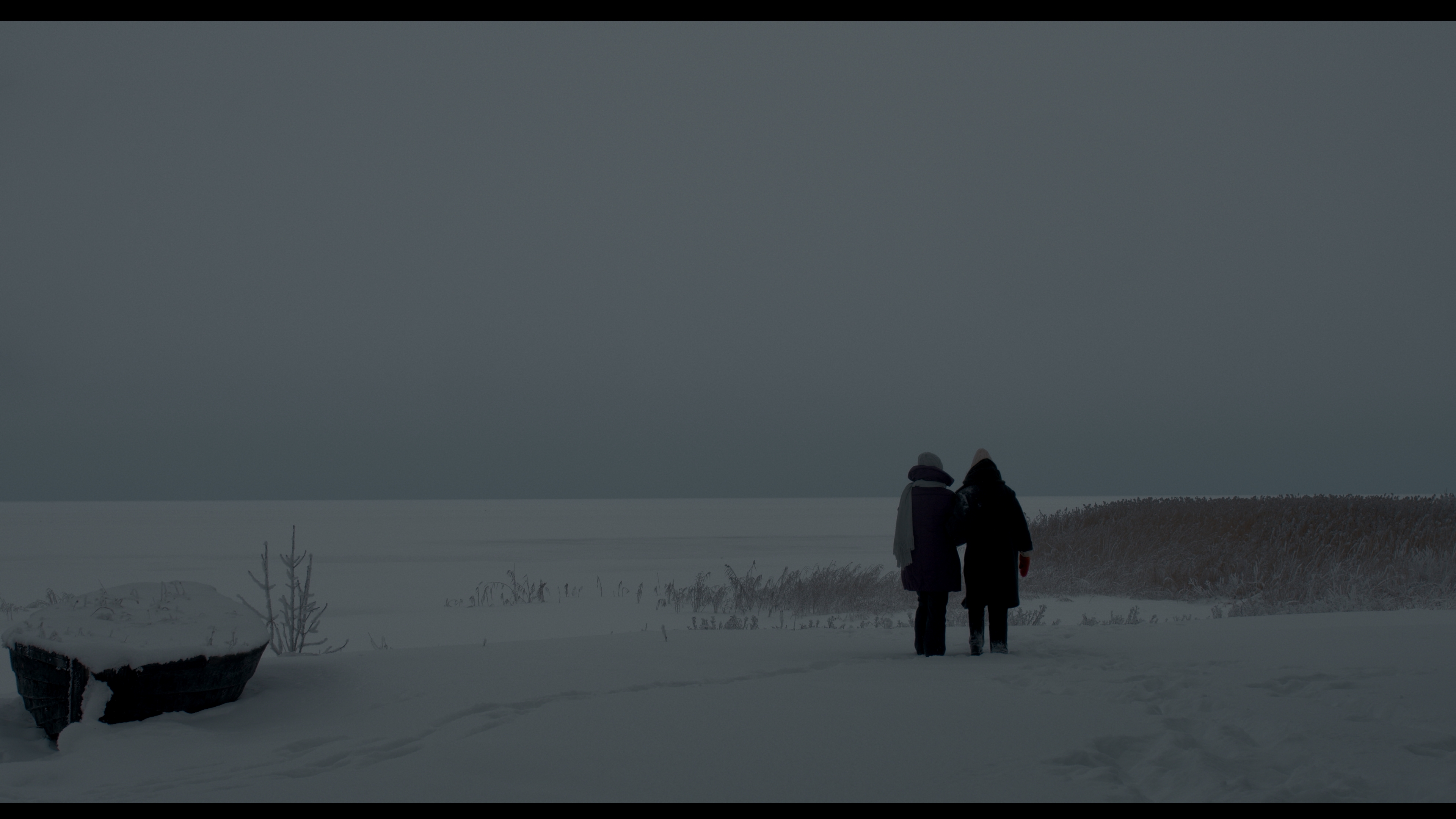 valgus paista metsale