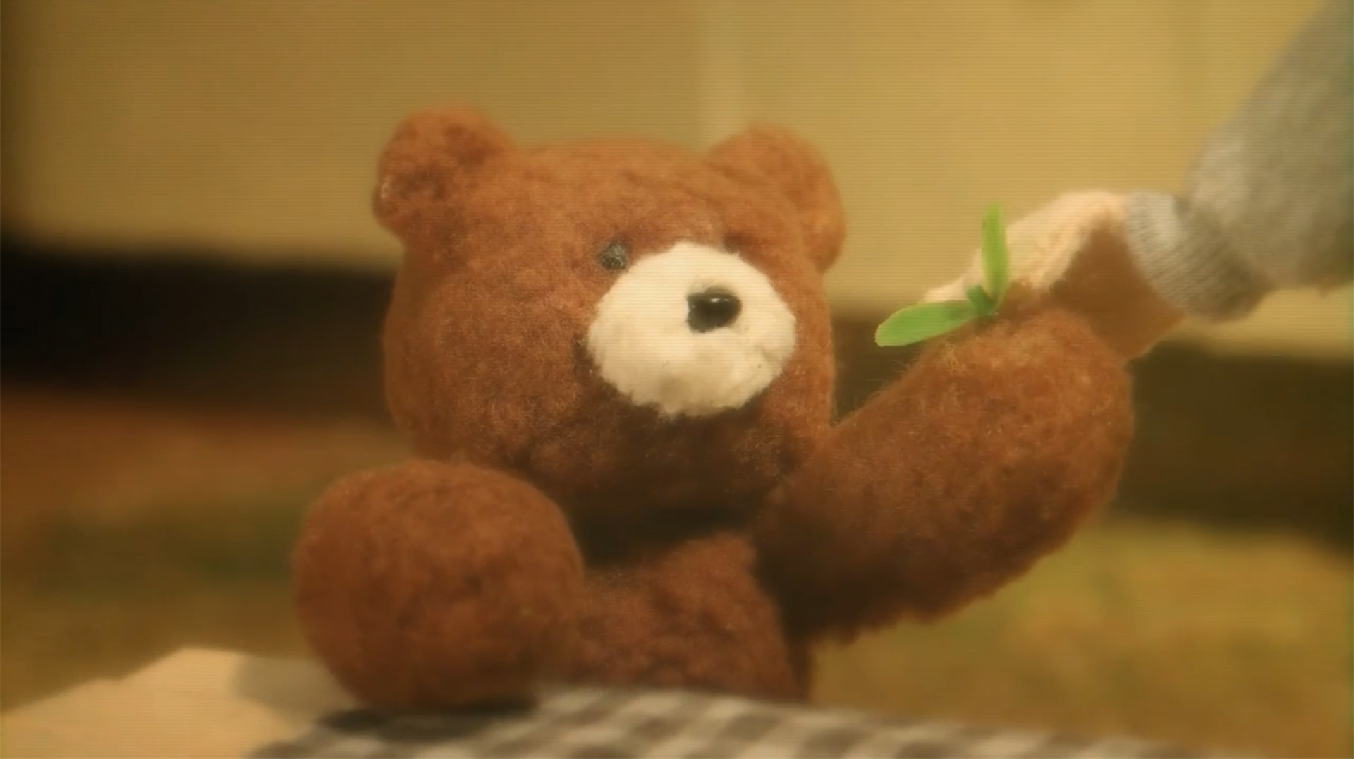 Dear My Bear