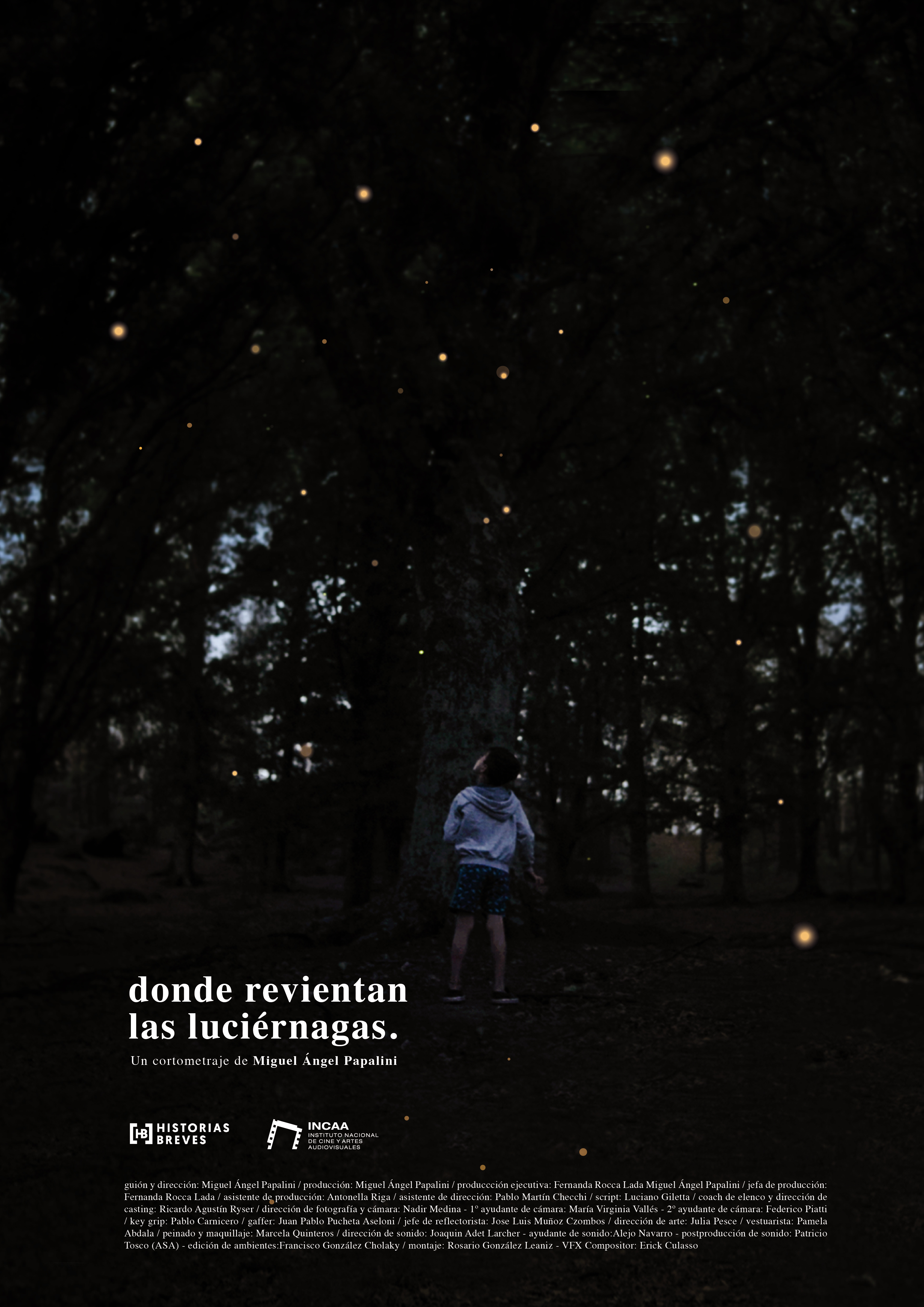 Donde revientan las luciérnagas