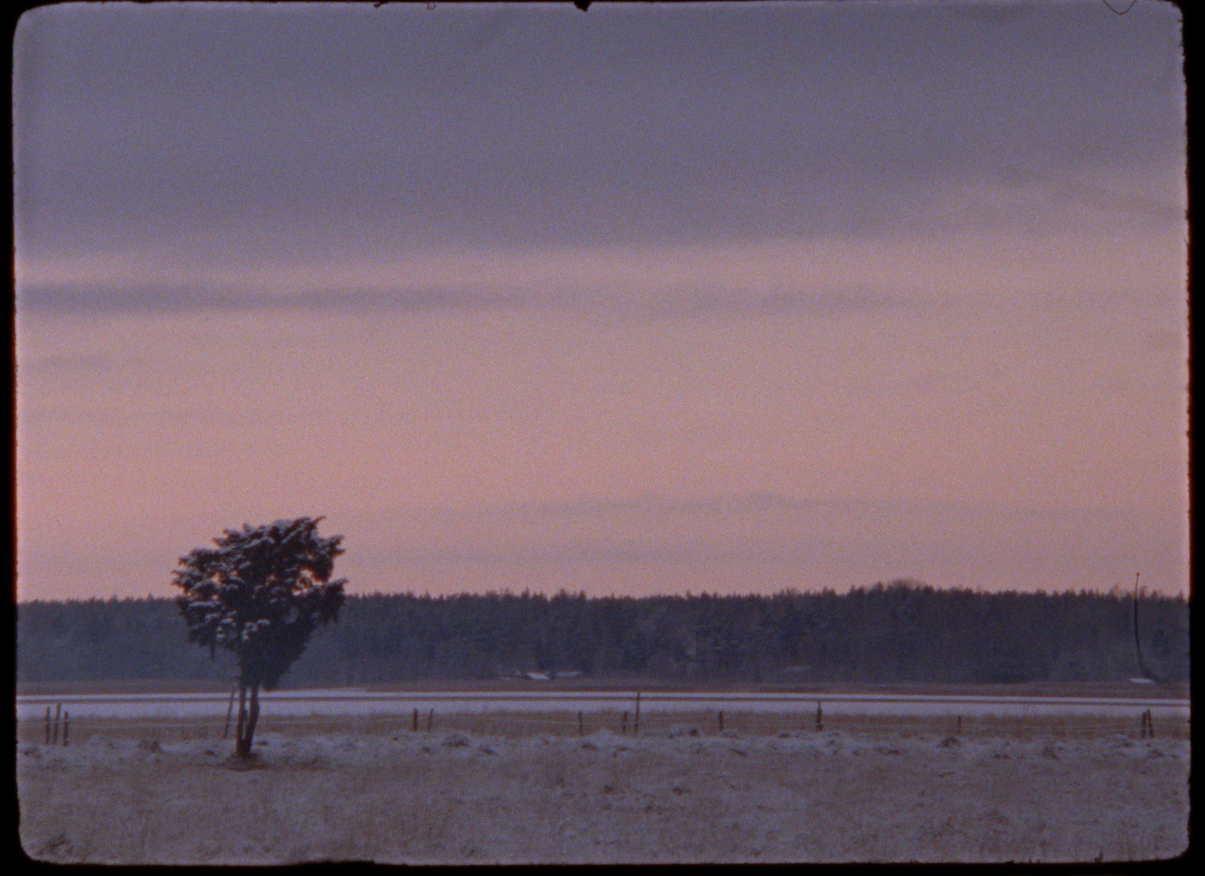 Trace of a Silent Tear