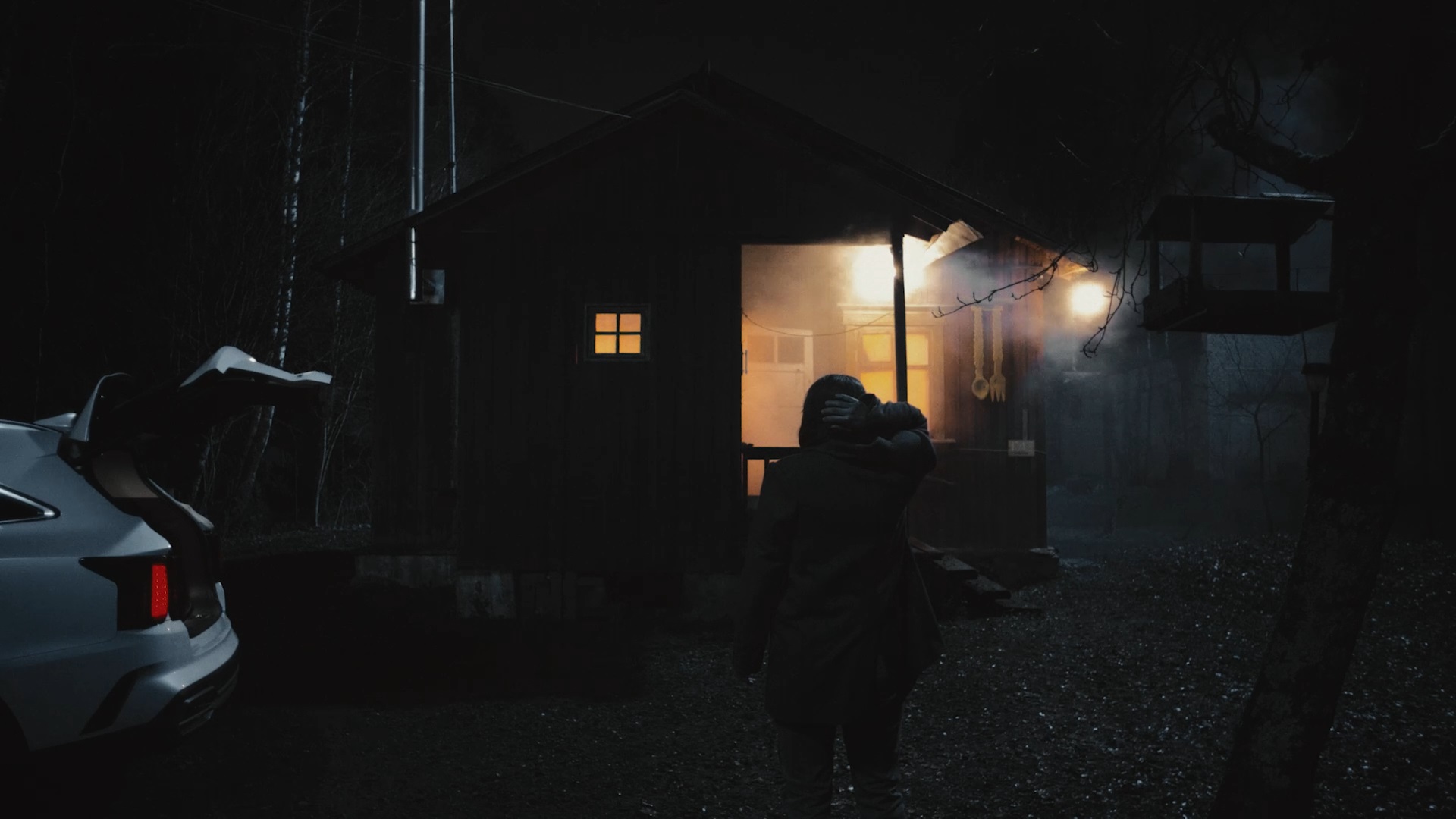 Things We Lost in the Backwoods