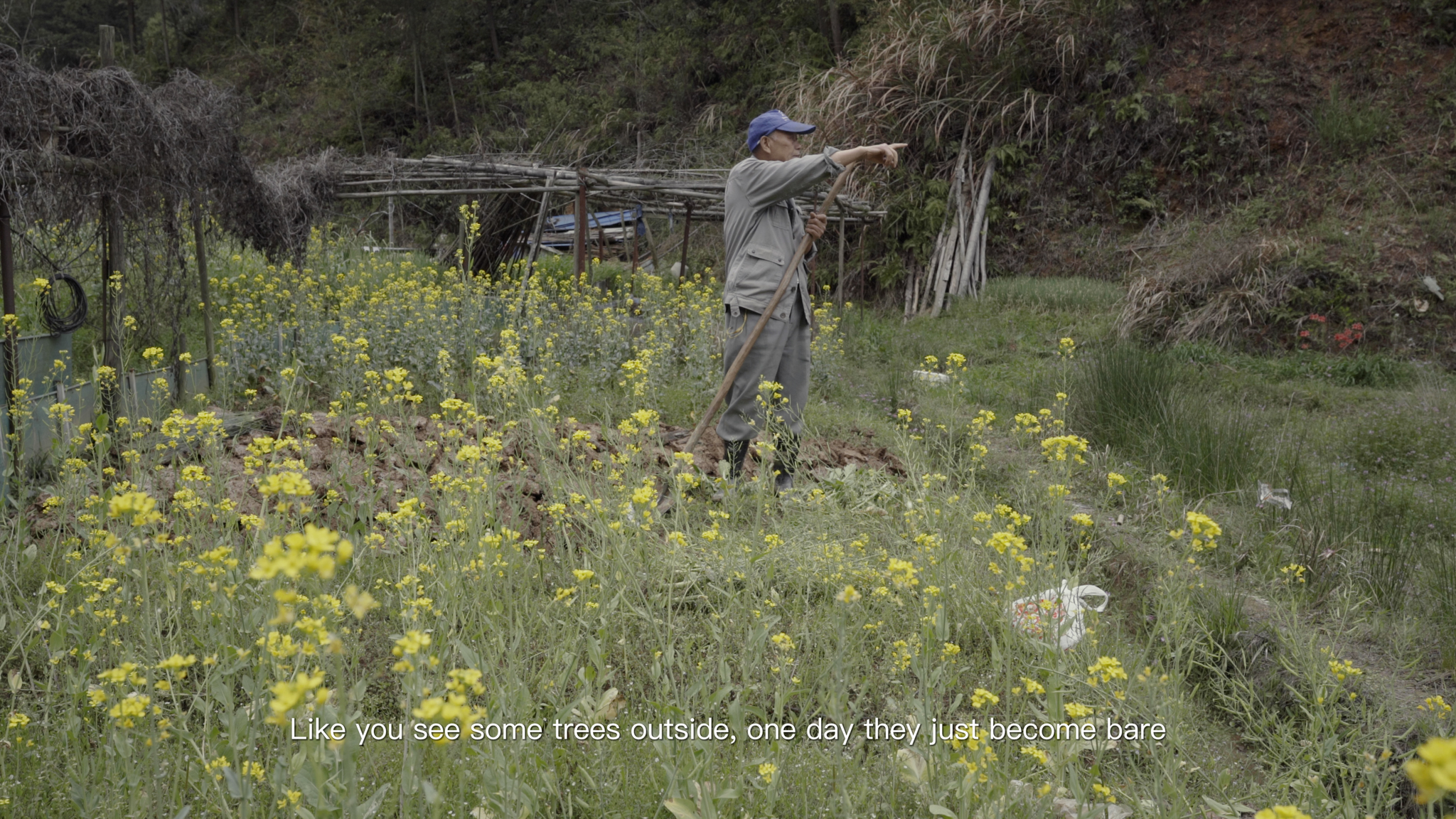In the Trace of Tilled Stones