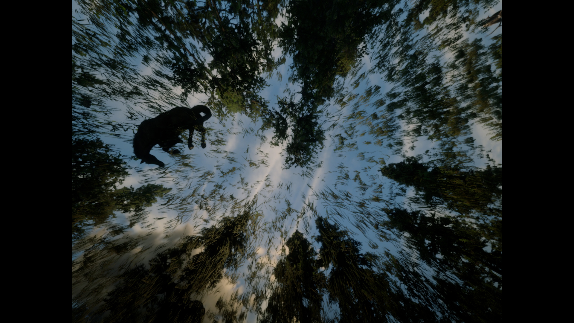 Someone to Steal Horses with