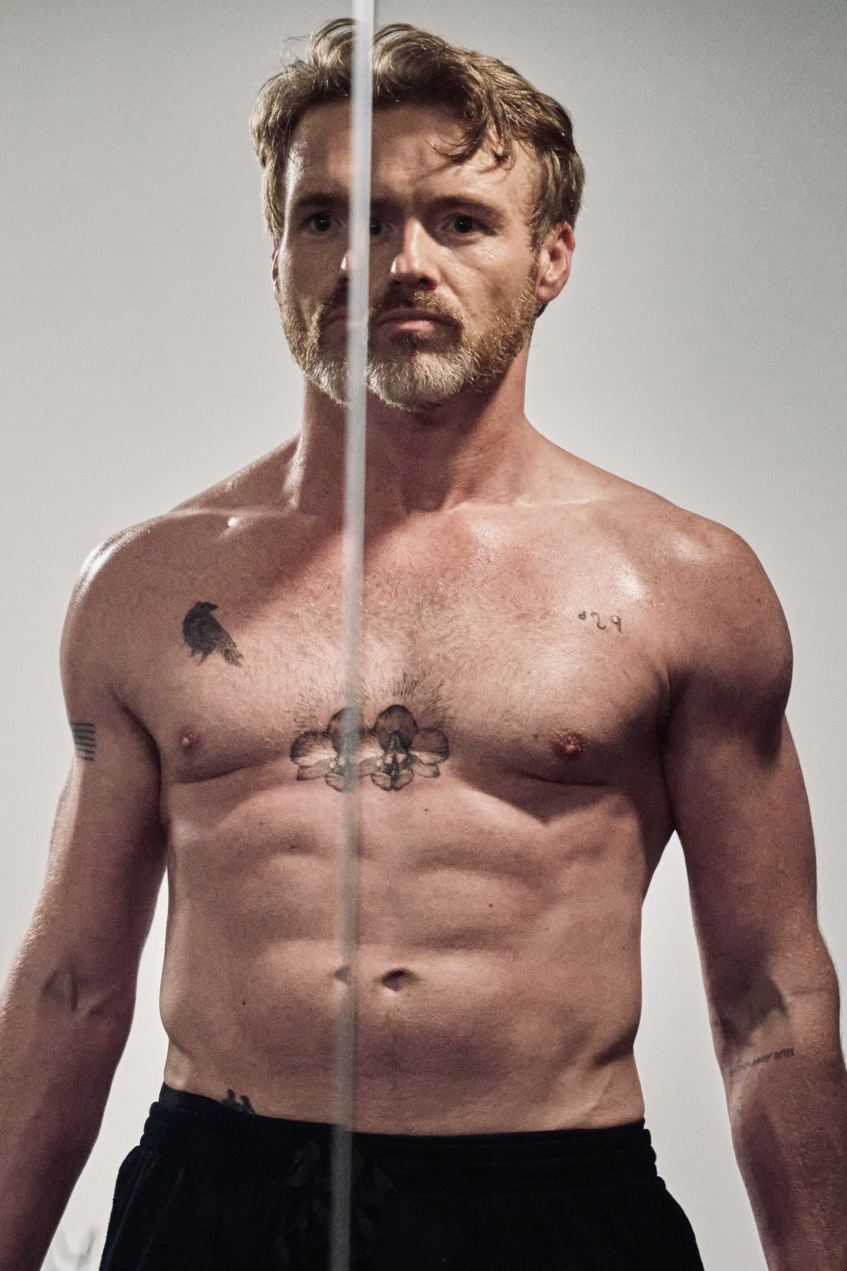 Light Before the Sun