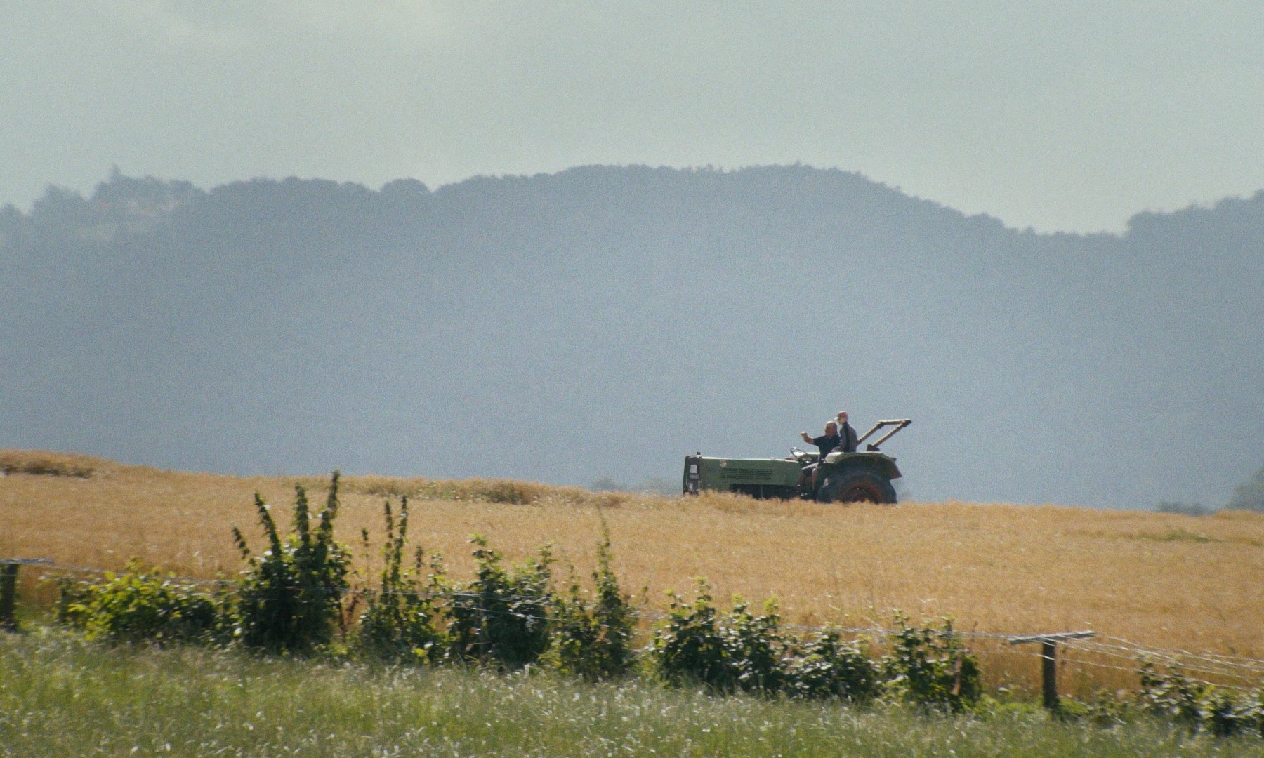 Ungeheuerhof - Chroniken und Gemütszustände auf dem Land