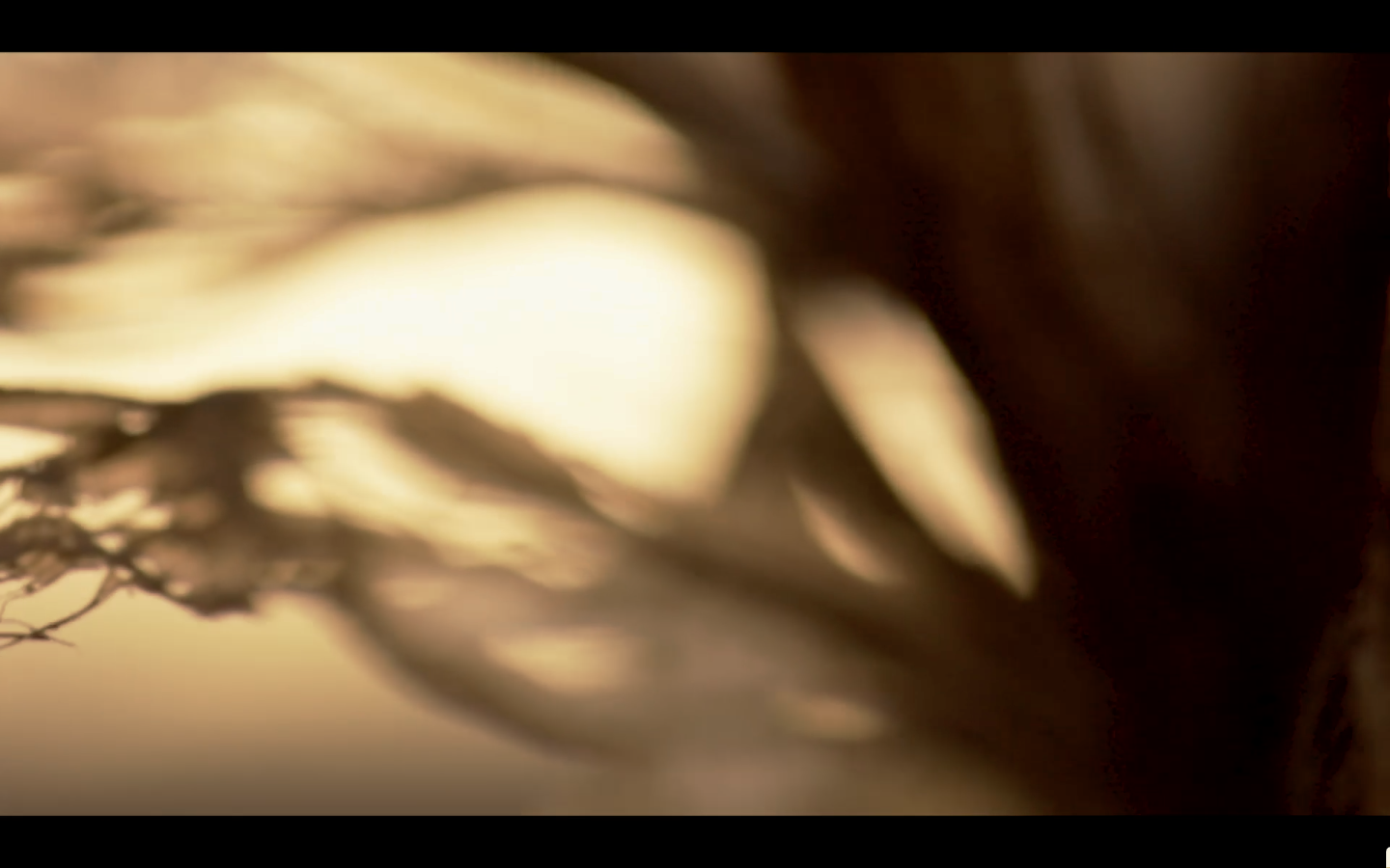 Letters #14 - Letter from: Marie-Rose Osta, film by: Rania Rafei