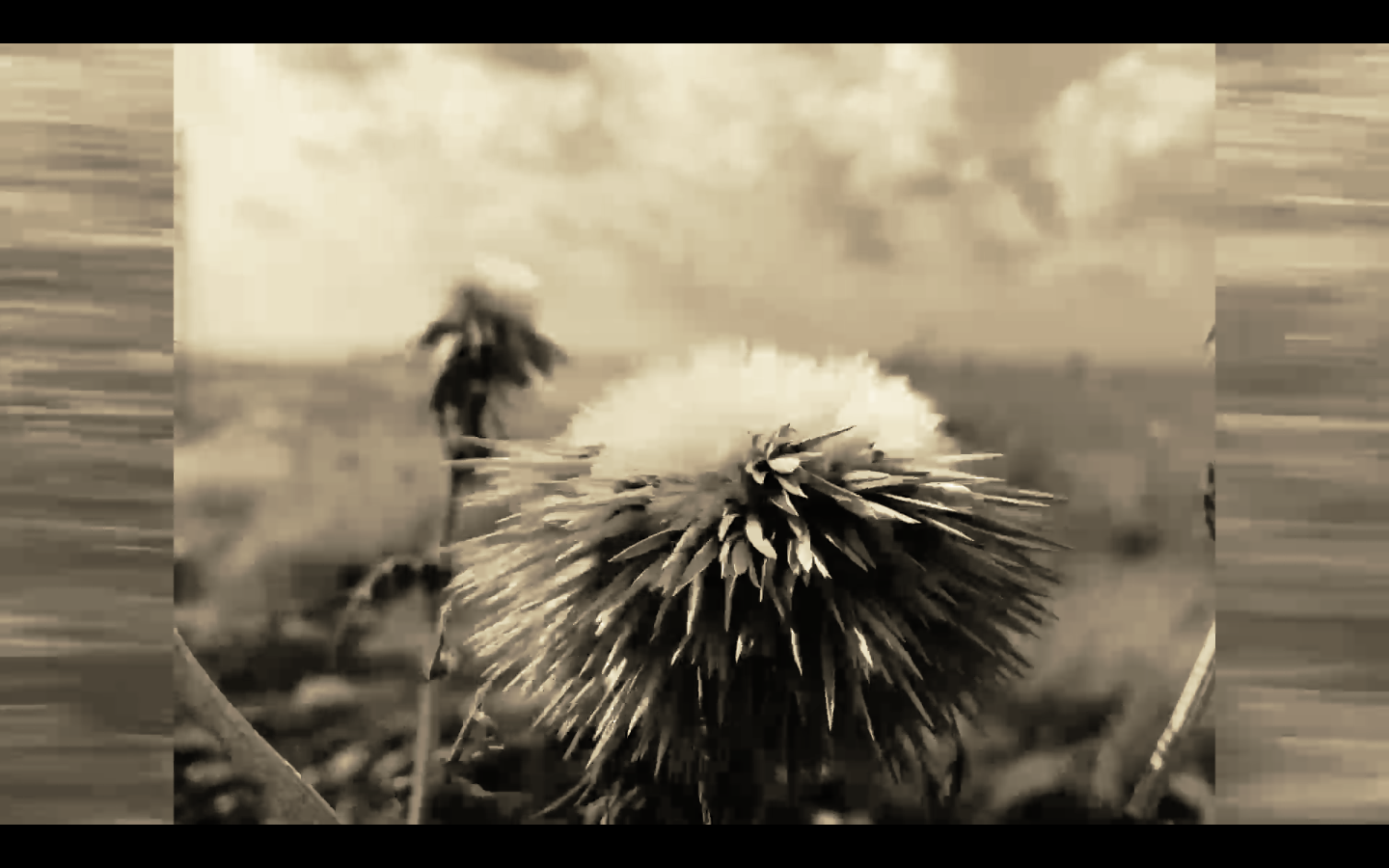 Letters #17 - Letter from: Reine Chahine, film by: Marie-Rose Osta