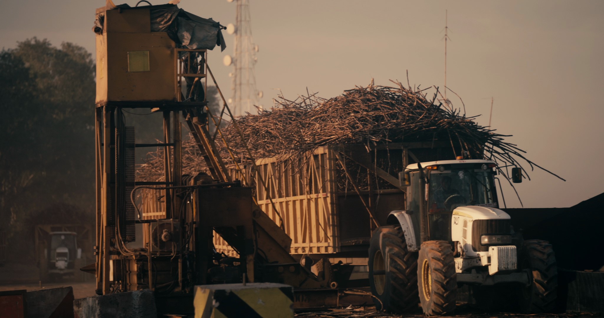 Champs de la colonisation