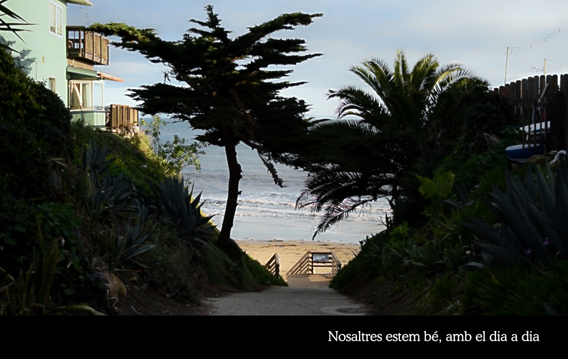 Quan dines, nosaltres sopem