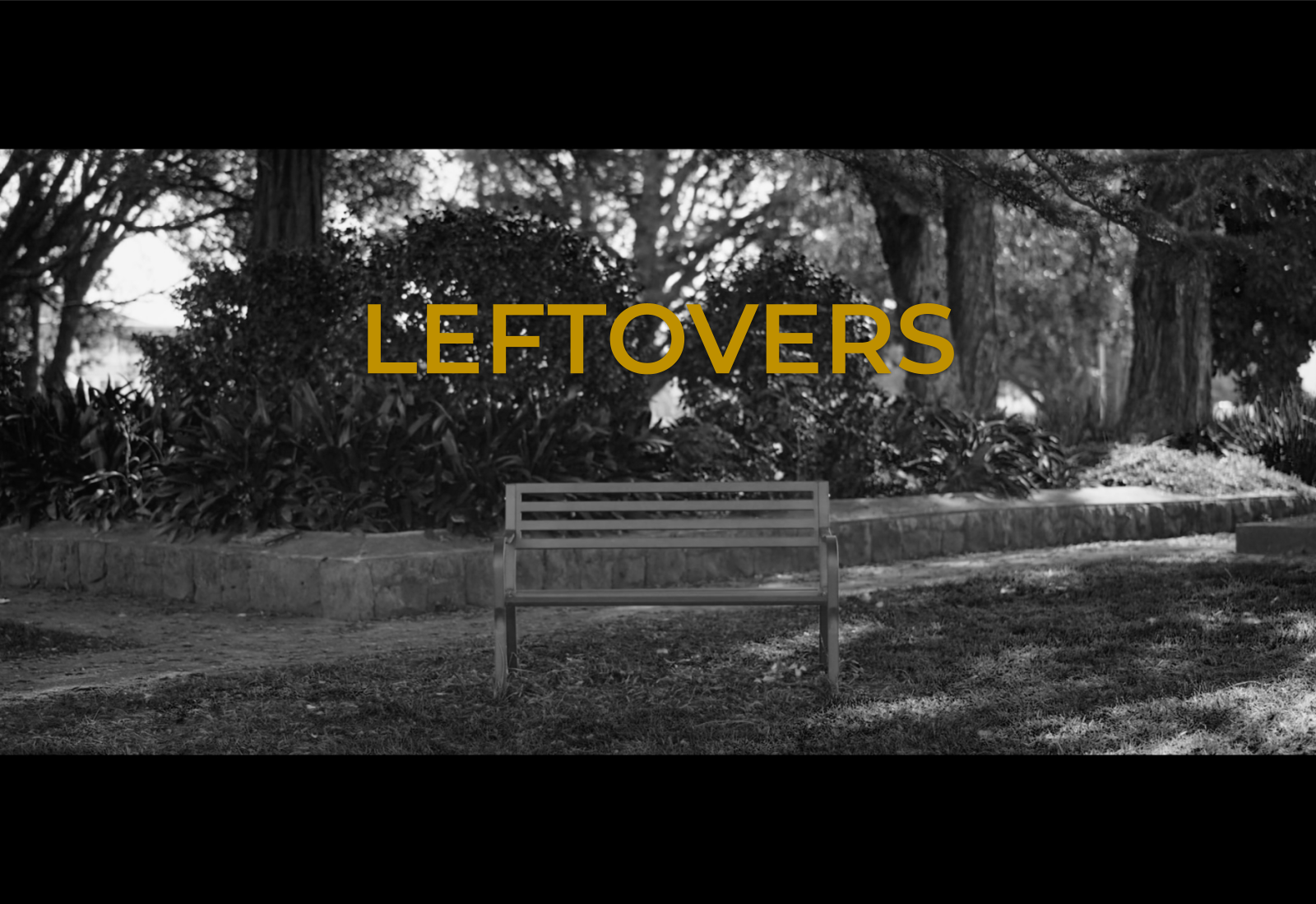 Leftovers