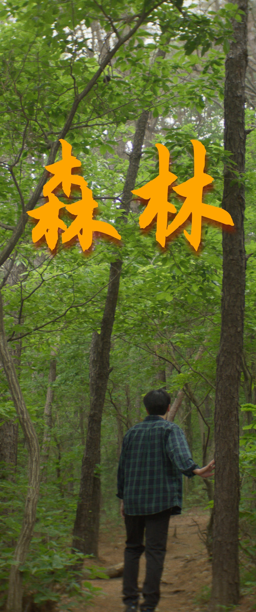 In the Forest: Daymare