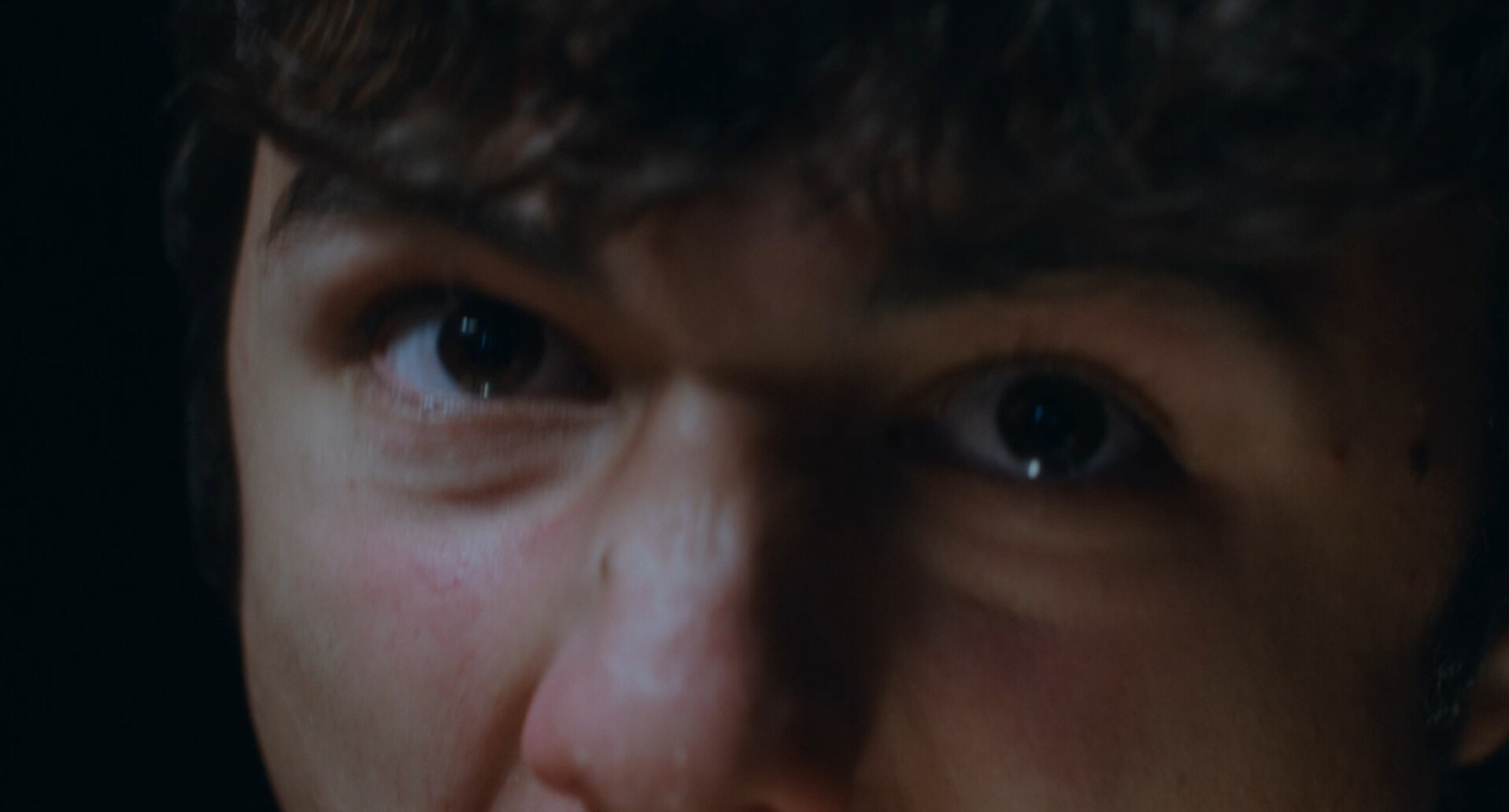 Pastisset de xocolata