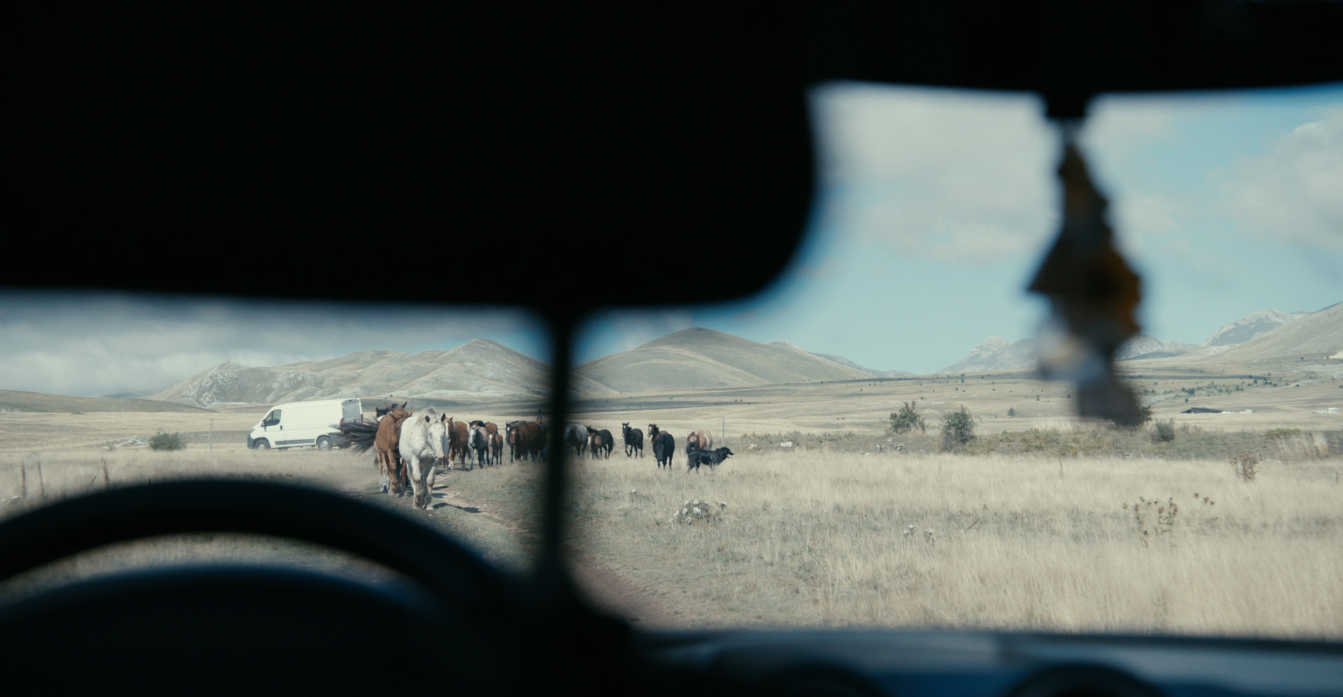 Teenage Cowboy