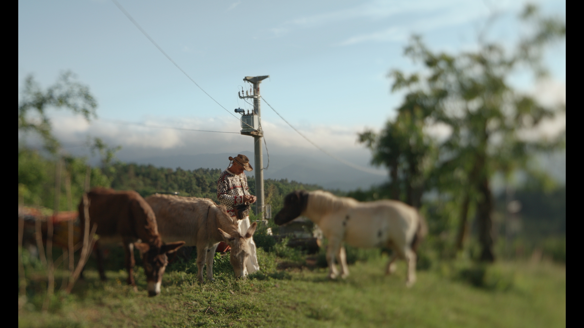 I Will Remain Pixelated Forever