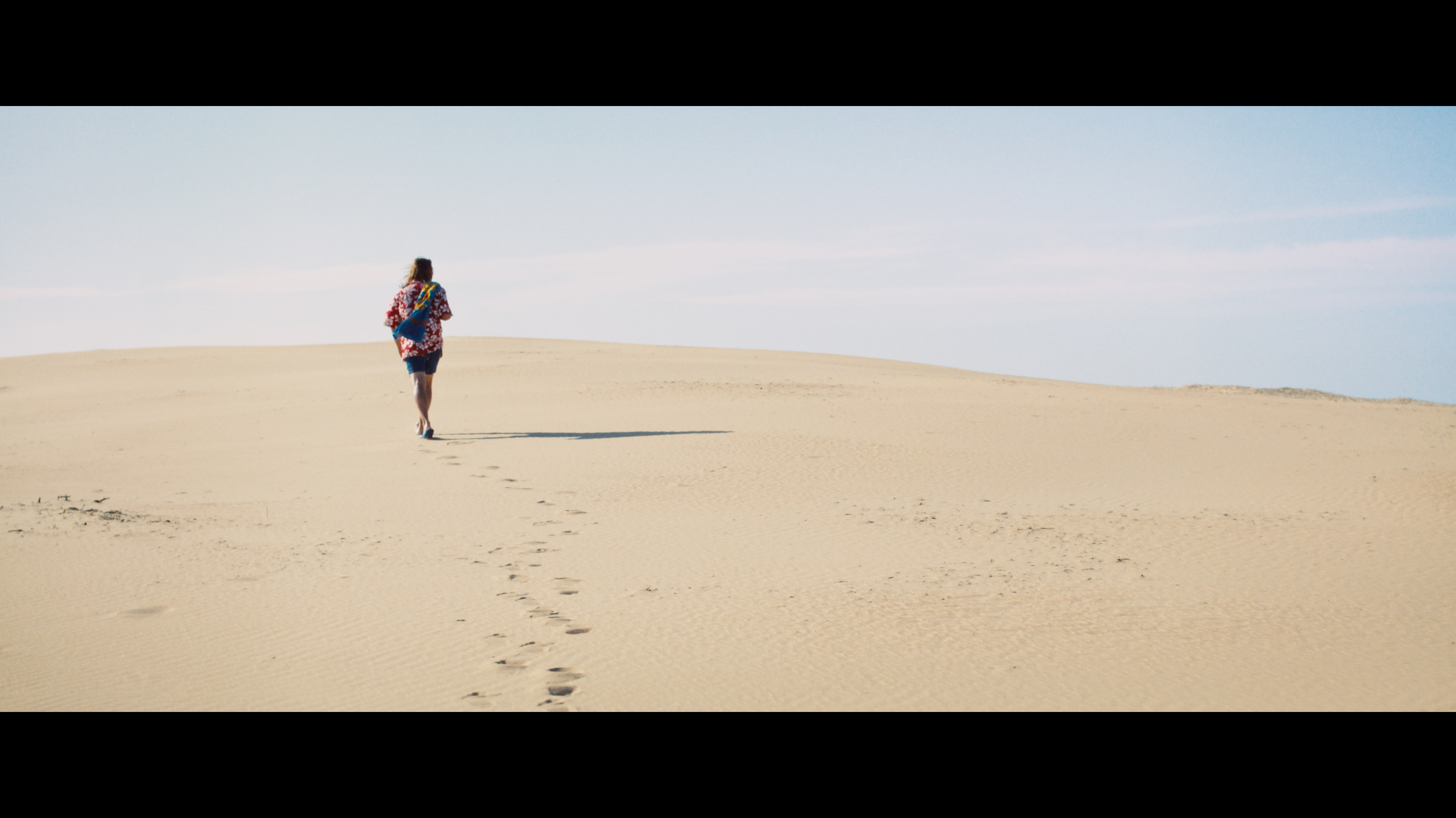 Dans la dune