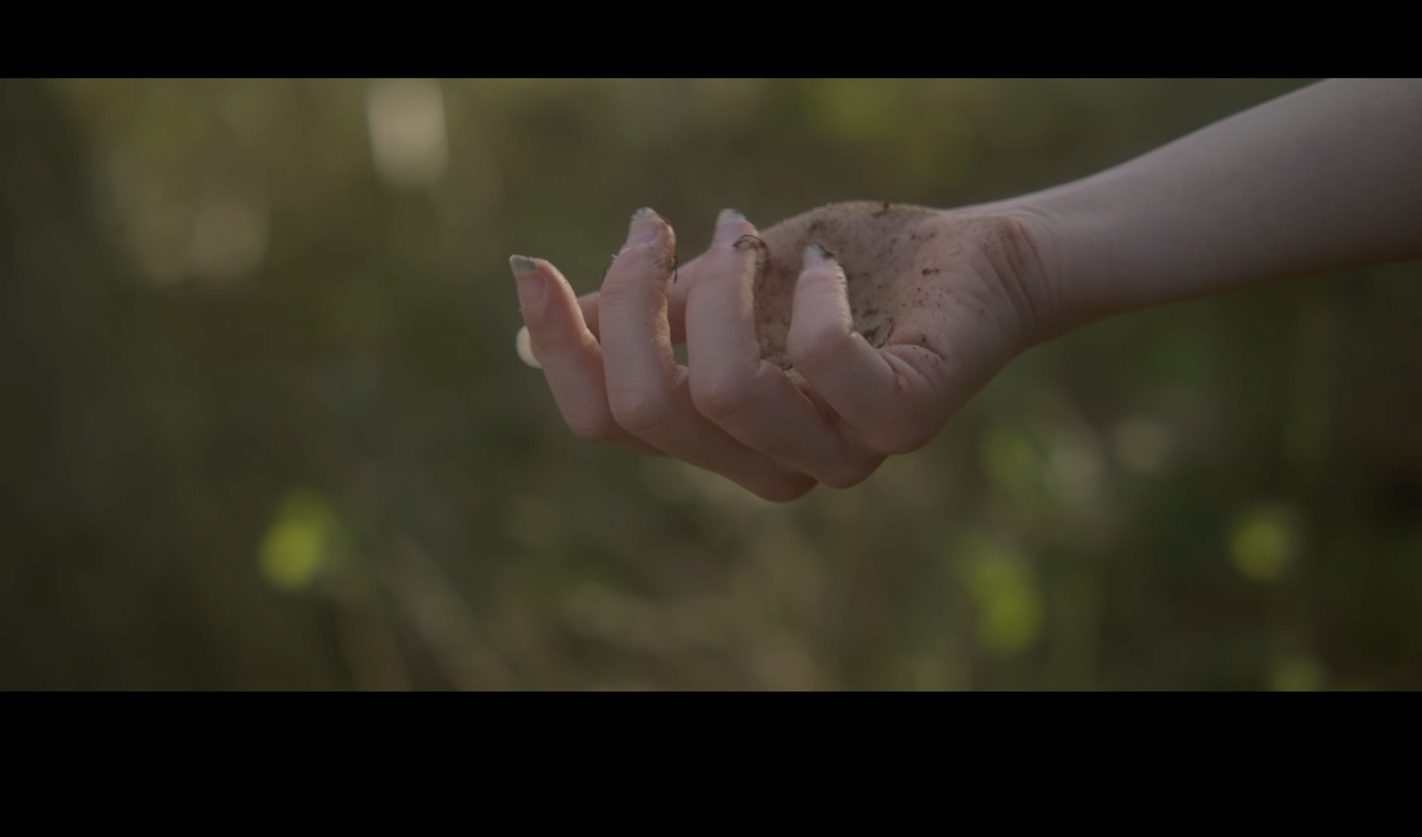 Storiella di Donne e Lupe