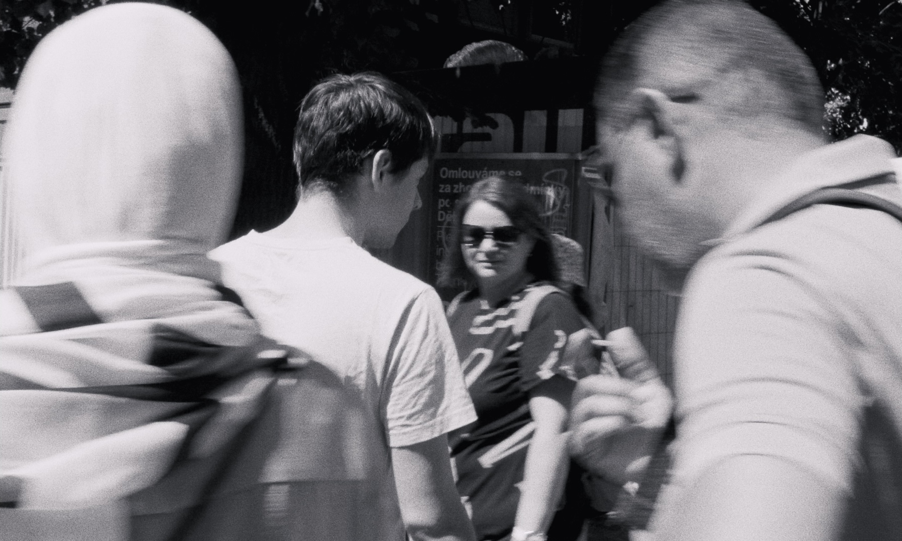 Ptáci milují střechy