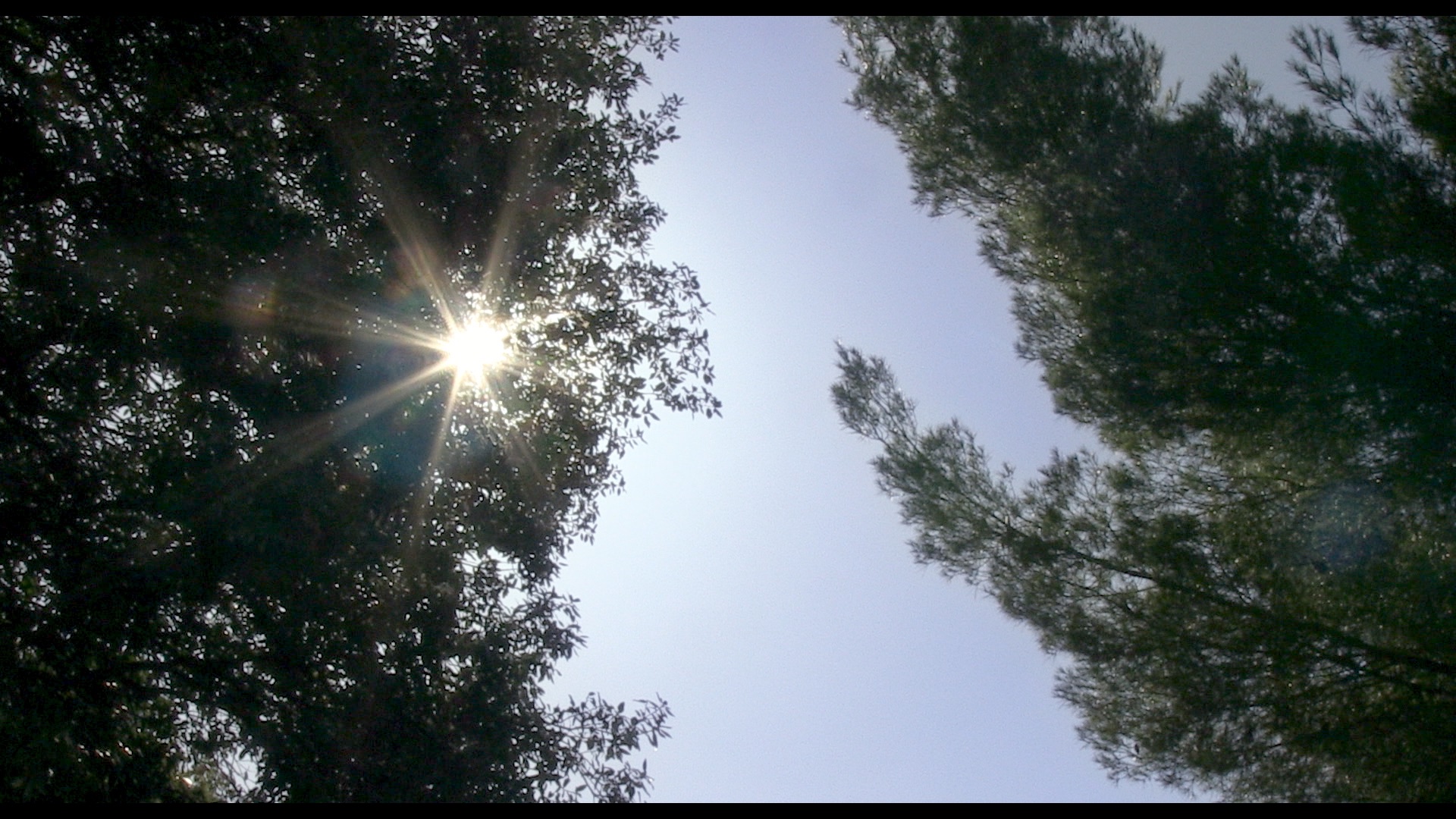 Jacquie et Claudette