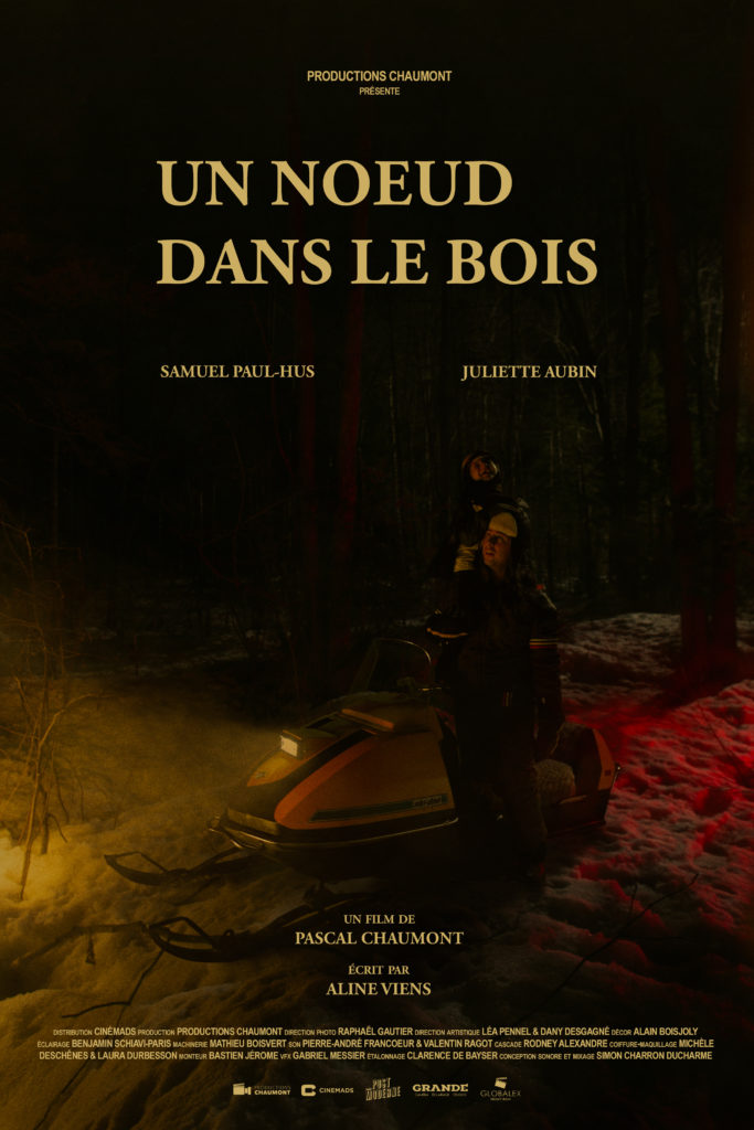 Noeud dans le bois