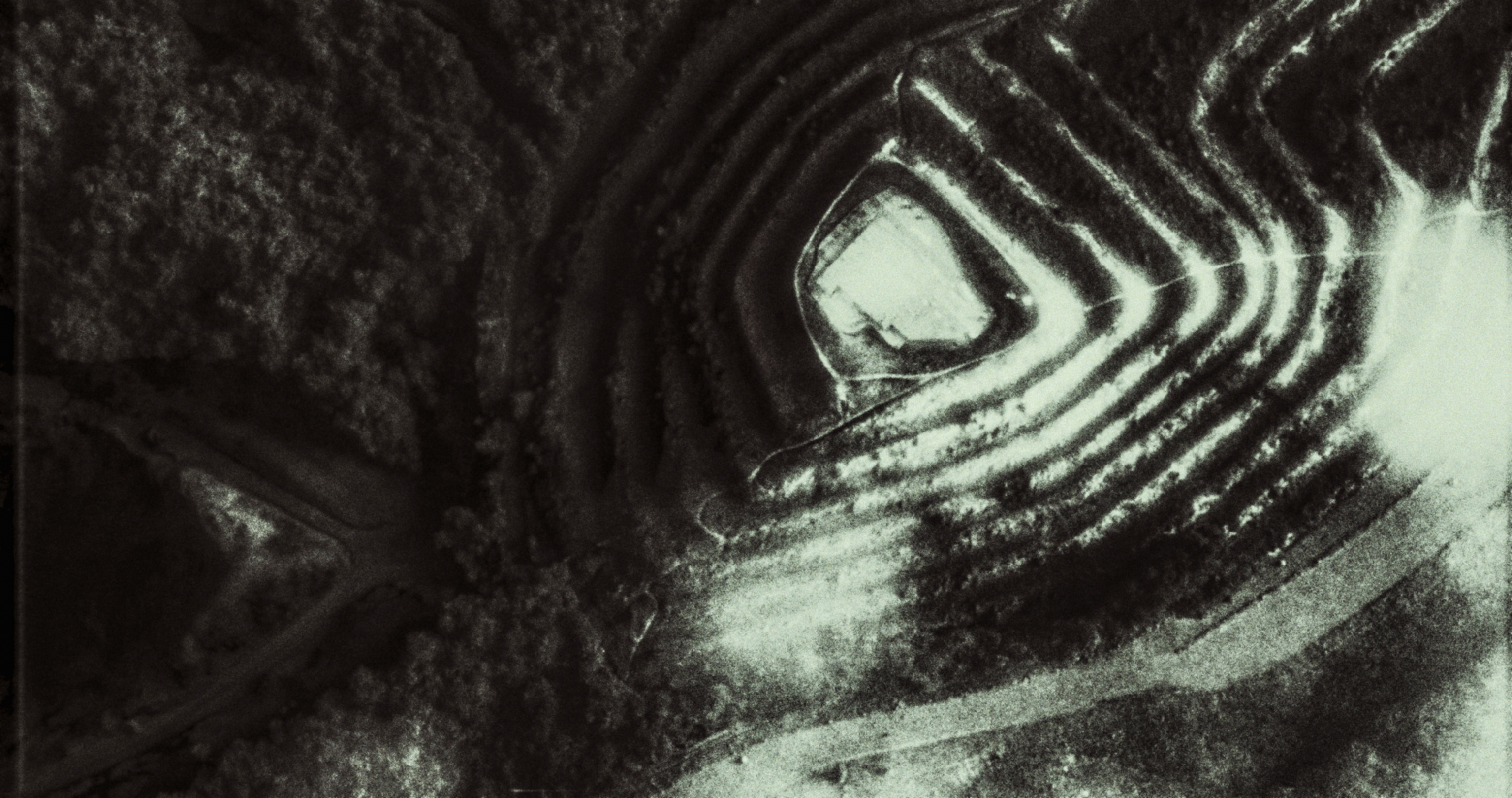 Polní Lékař Aneb Pravidla Styku s Místními e-dívkami