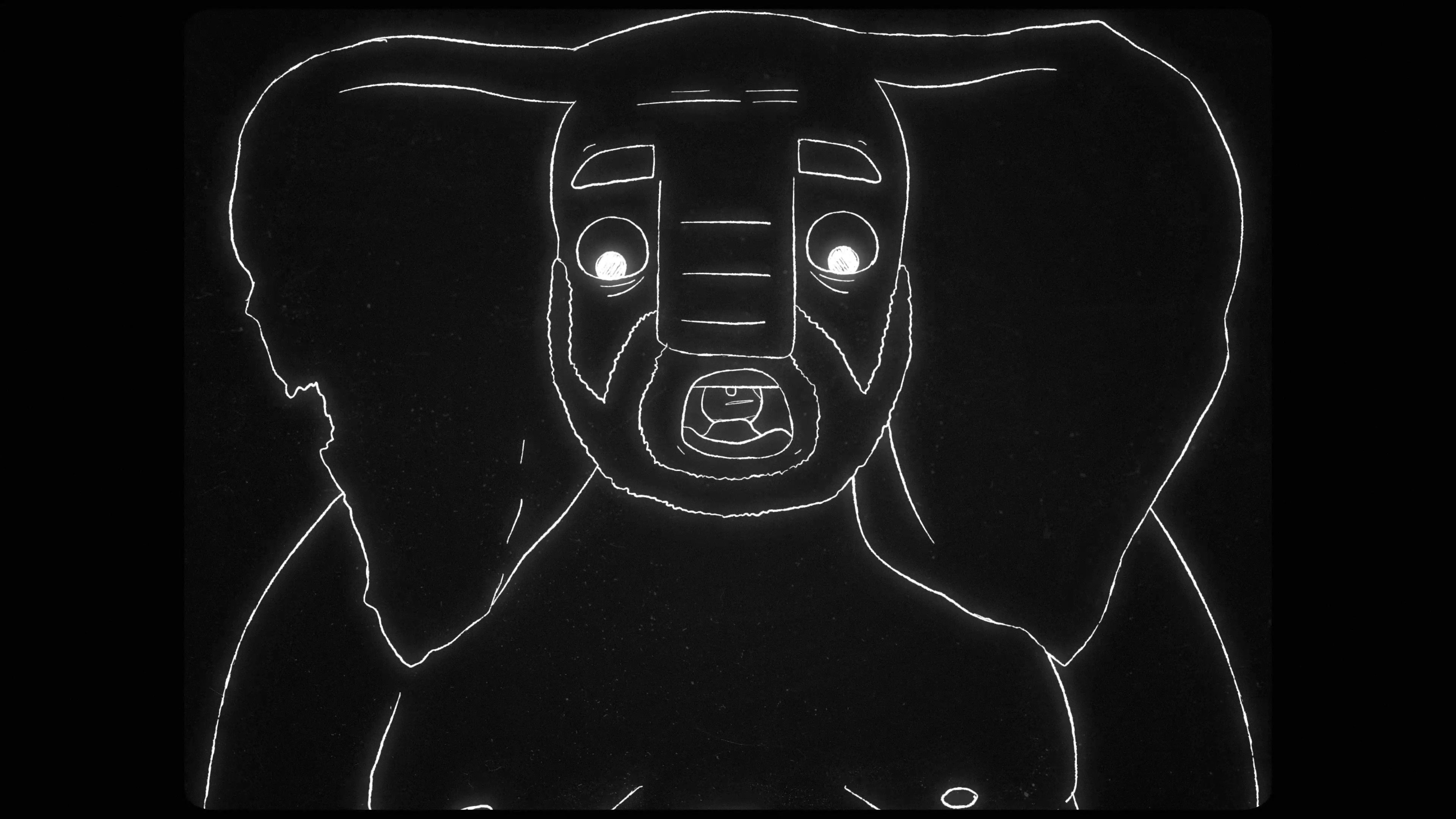 Hay un elefante desnudo en la habitación