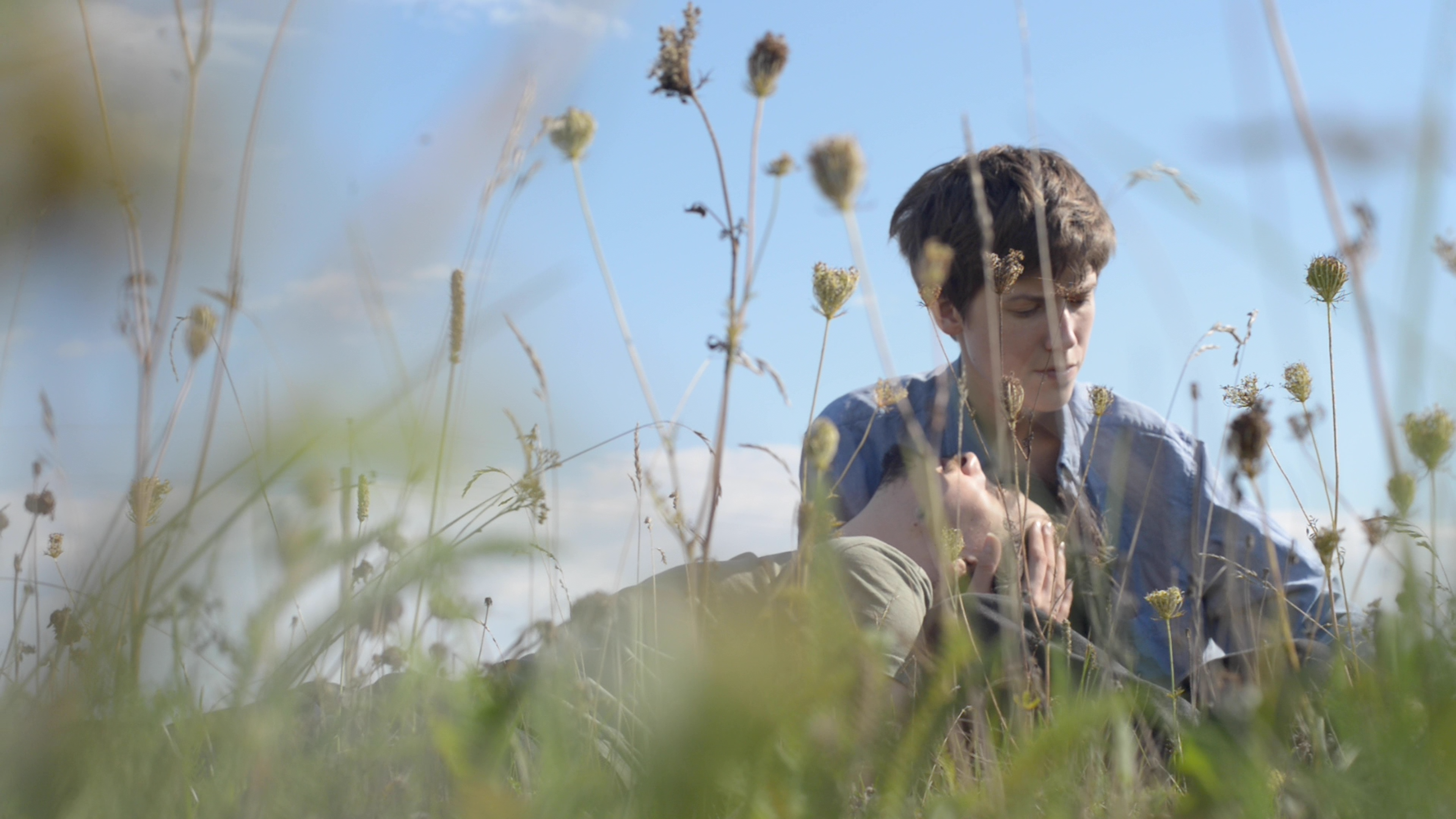 Storks Always Come Home