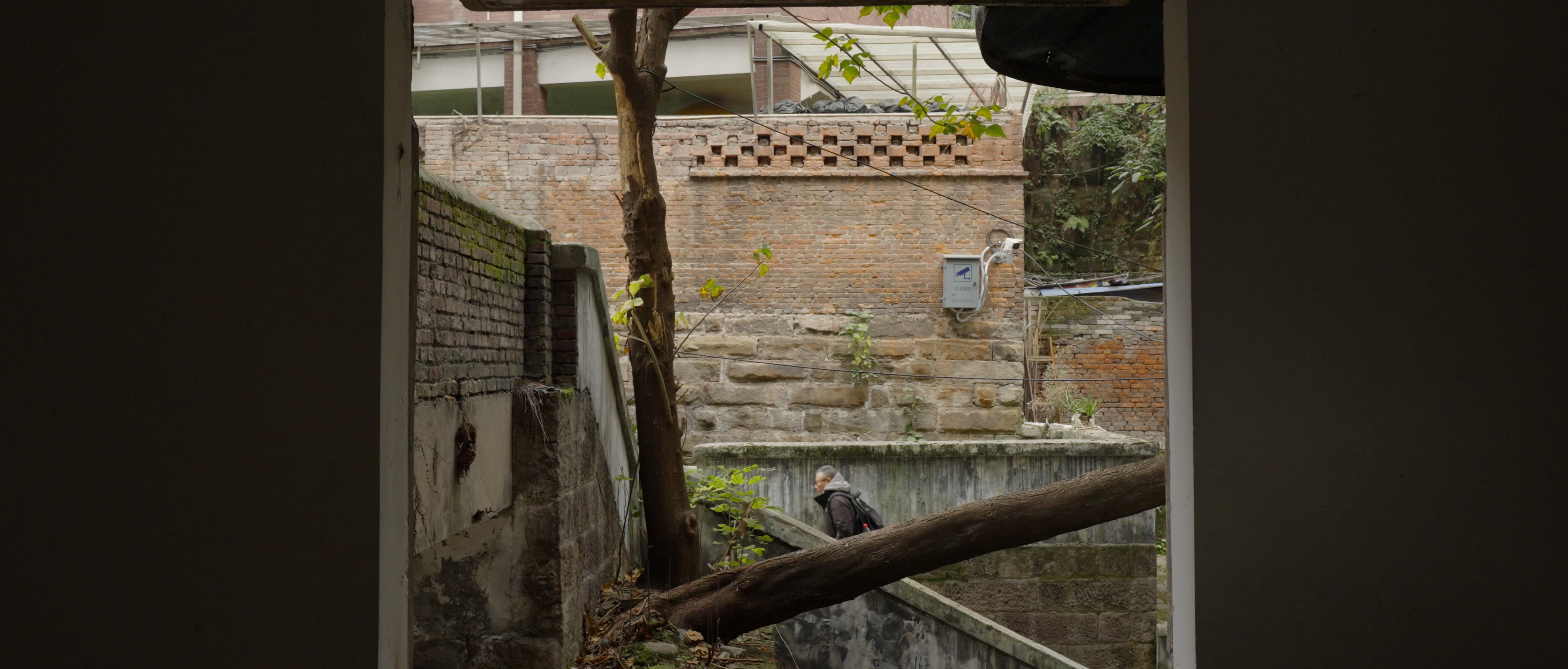 Other Side of the Mountain